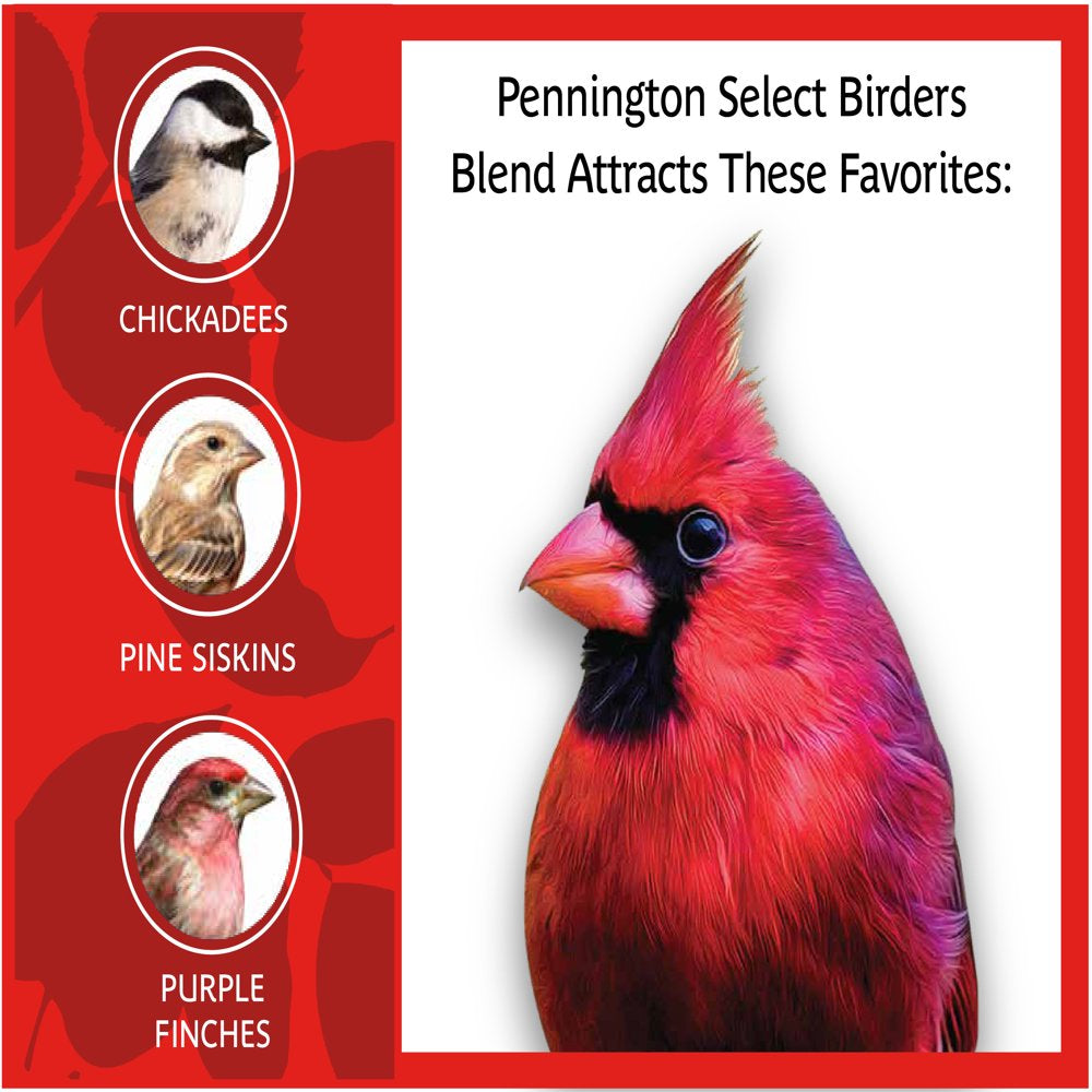 Pennington Select Birder'S Blend, Wild Bird Seed and Feed, 10 Lb. Bag Animals & Pet Supplies > Pet Supplies > Bird Supplies > Bird Food CENTRAL GARDEN & PET COMPANY   