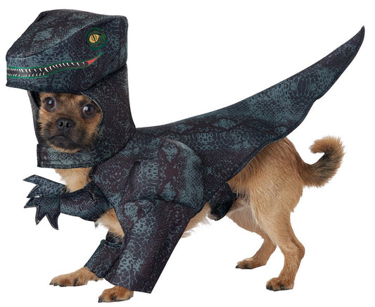 Pupasaurus Rex Dog Md Animals & Pet Supplies > Pet Supplies > Dog Supplies > Dog Apparel California Costumes L  