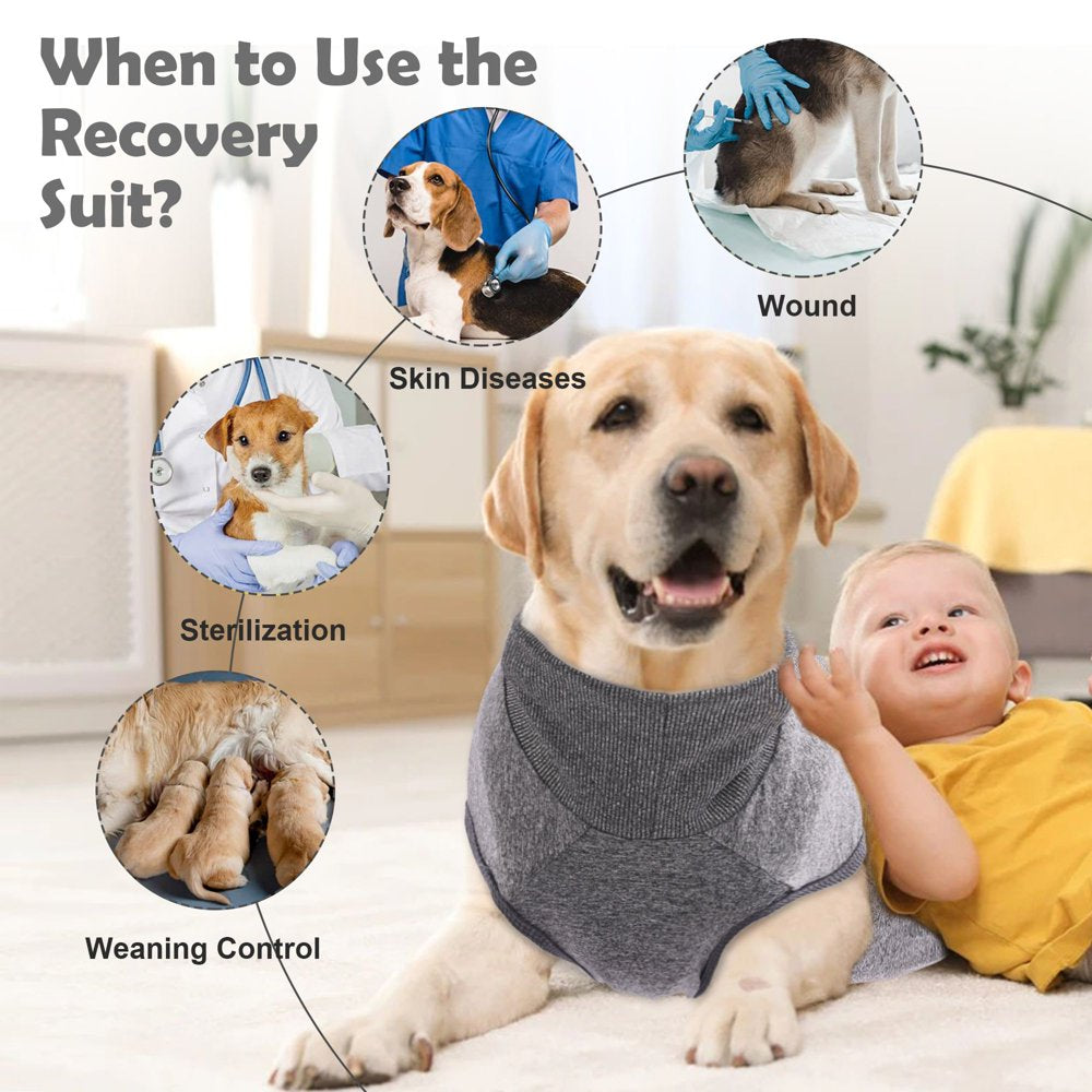 IDOMIK Recovery Suit for Dogs after Surgery, Recovery Shirt Onesie Dog Physiological Pants Diapers, Pet Abdominal Wounds Bandages E-Collar Cone Alternatives Male Female Shirt Pajamas Anti-Licking Animals & Pet Supplies > Pet Supplies > Dog Supplies > Dog Diaper Pads & Liners IDOMIK   