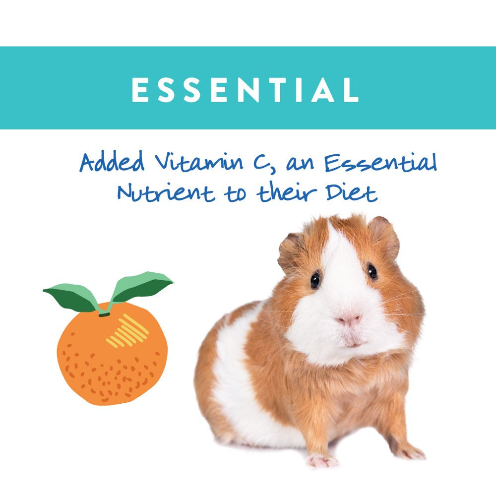 Small World Guinea Pig Complete Feed, Added Vitamin C, 9 Lbs Animals & Pet Supplies > Pet Supplies > Small Animal Supplies > Small Animal Food Manna Pro   