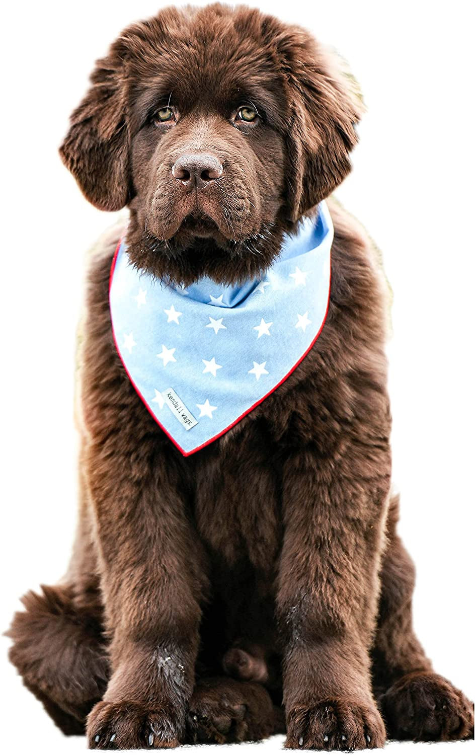 Kendall Wags Summer Nautical Dog Bandanas Pet Scarf Accessories for Large Medium Small Dogs - 4Th of July Animals & Pet Supplies > Pet Supplies > Dog Supplies > Dog Apparel Kendall Wags Stars Medium 