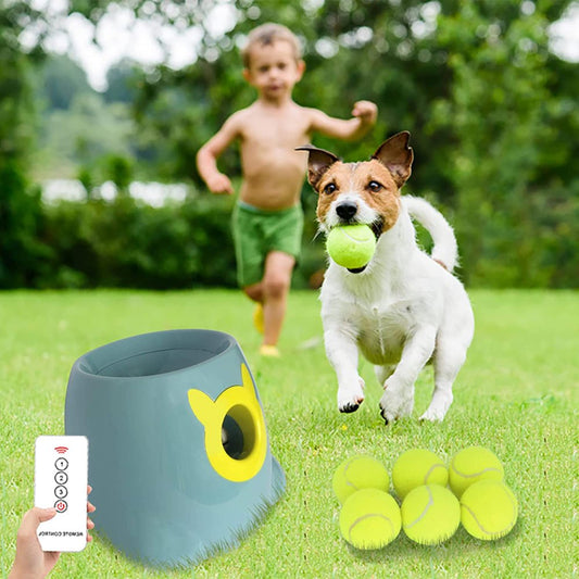 FSXUOLIPI Automatic Dog Ball Launcher Interactive Tennis Ball Thrower Machine for Small Medium Dogs Fetching Distance 10-30Ft Animals & Pet Supplies > Pet Supplies > Dog Supplies > Dog Treadmills FSXUOLIPI Blue  