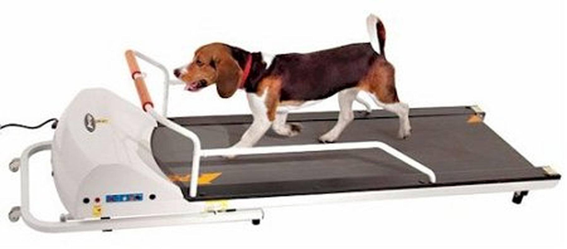 Petrun PR720F Dog Treadmill Animals & Pet Supplies > Pet Supplies > Dog Supplies > Dog Treadmills GoPet   