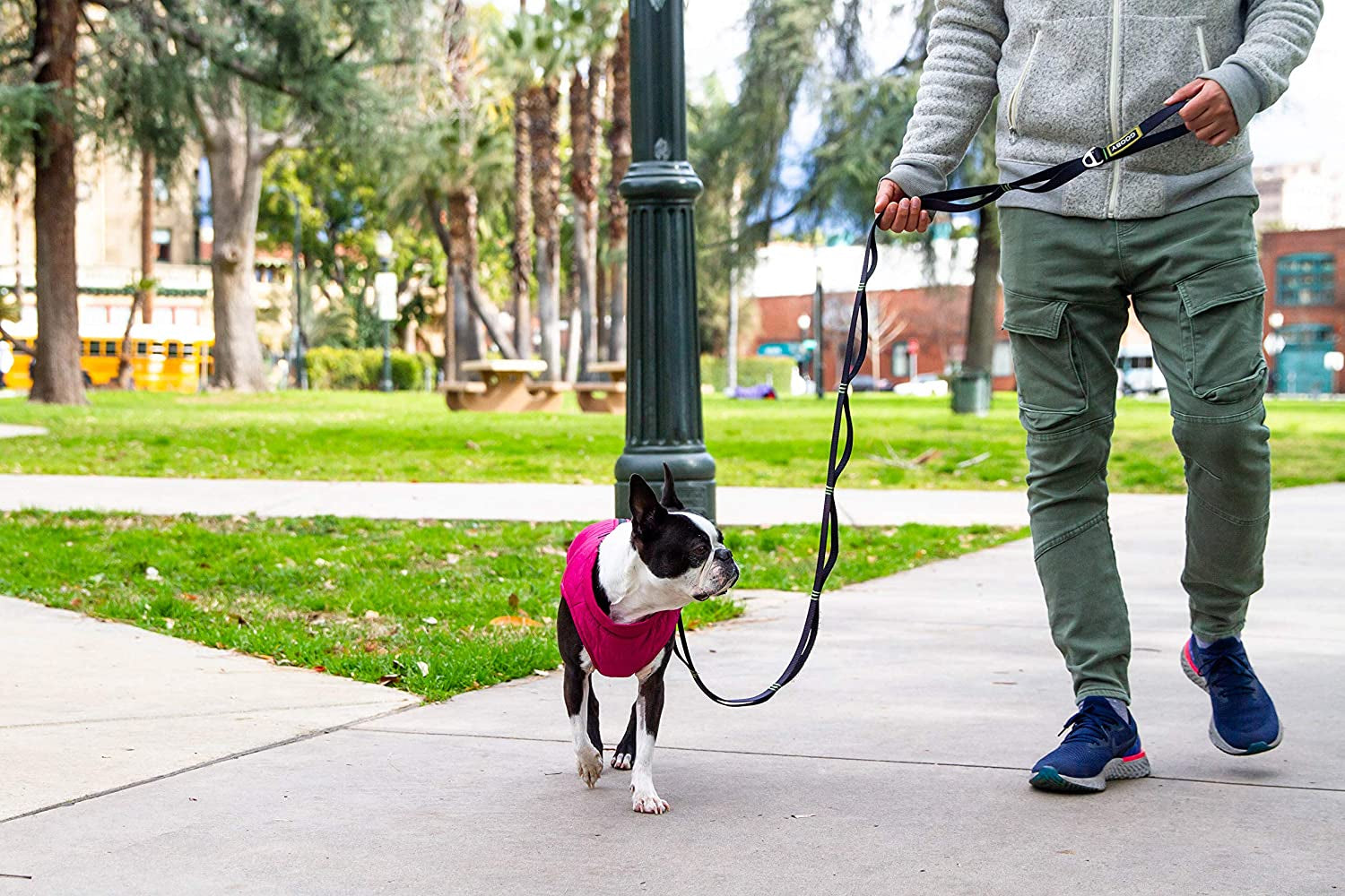 Gooby Puffer Vest Dog Jacket - Purple, Medium - Ultra Thin Zip up Wind Breaker with Dual D Ring Leash - Water Resistant Small Dog Sweater Coat - Dog Clothes for Small Dogs Boy or Medium Dogs Animals & Pet Supplies > Pet Supplies > Dog Supplies > Dog Apparel Gooby   