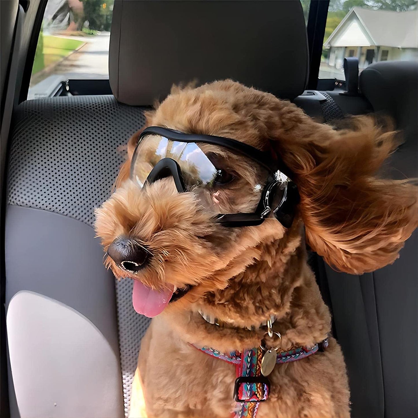 Wotendy Dog Sunglasses Dog Goggles, UV Protection Wind Protection Dust Protection Fog Protection Pet Glasses Eye Wear Protection for Medium or Large Dog Animals & Pet Supplies > Pet Supplies > Dog Supplies > Dog Apparel Wotendy   