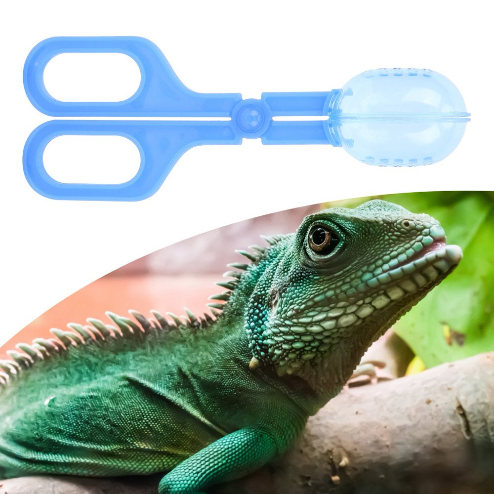 Amphibian Terrarium Feeding Clamp, Reptile Supplies Reptile Feeder Reptile Feeding Clamp for Feeding for Cricket for Spider Animals & Pet Supplies > Pet Supplies > Reptile & Amphibian Supplies > Reptile & Amphibian Food Demonsen   