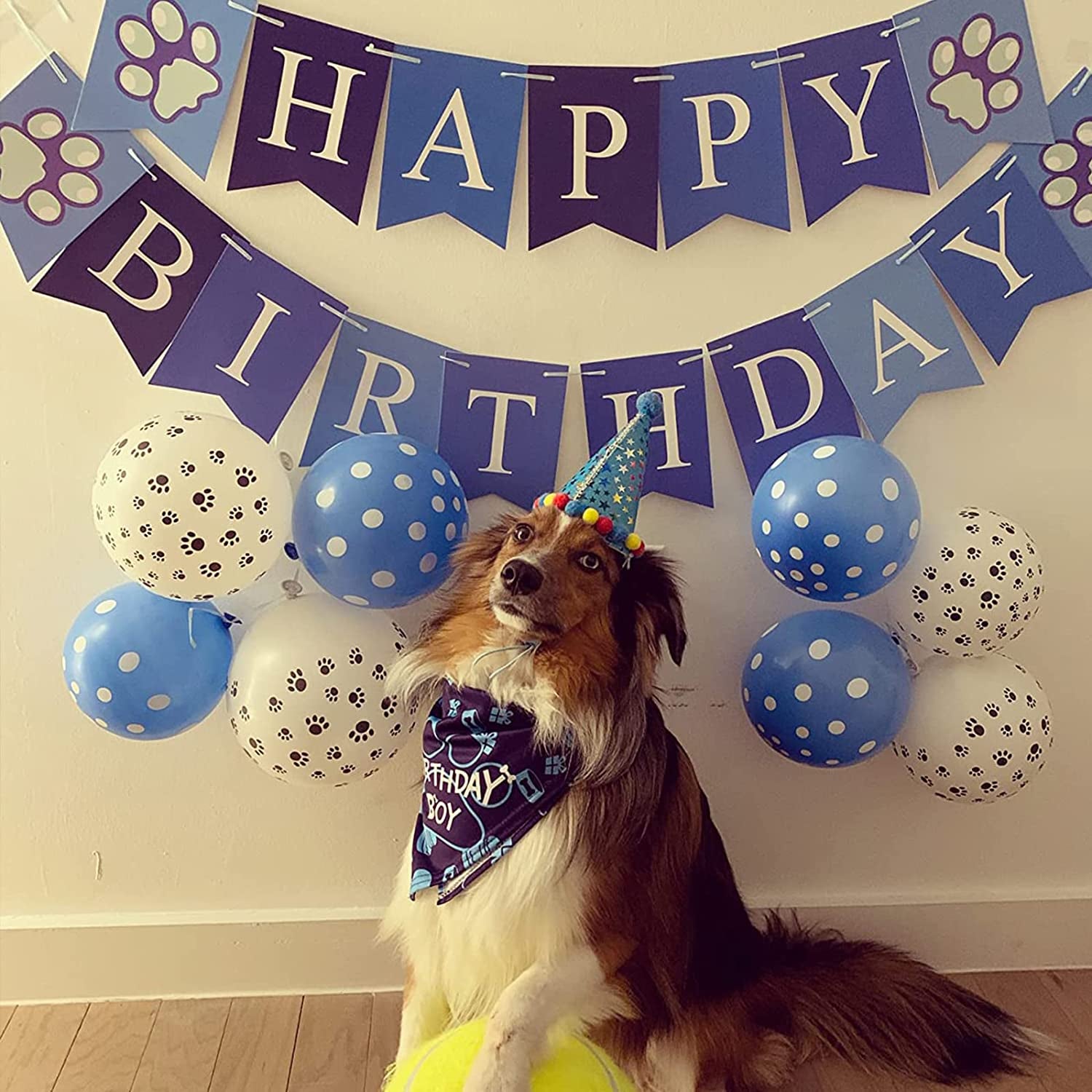 TCBOYING Dog Birthday Bandana, Dog Birthday Boy Hat Scarfs Flag Balloon with Cute Doggie Birthday Party Supplies Decorations(11-Piece Set) (Blue) Animals & Pet Supplies > Pet Supplies > Dog Supplies > Dog Apparel TCBOYING   