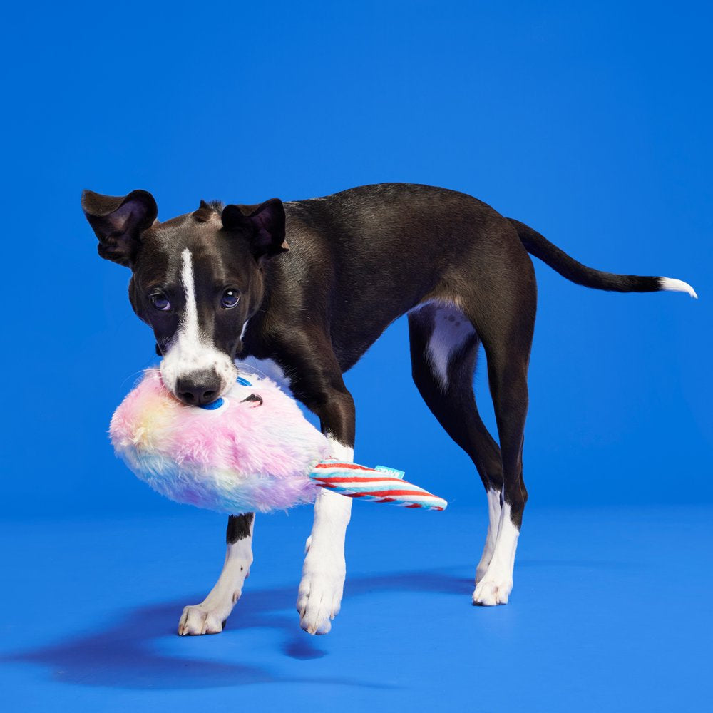 BARK Cotton Candy Eyed Joe - Yankee Doodle Dog Toy, with Bonus Spiky Squearker Ball, All Dog Sizes