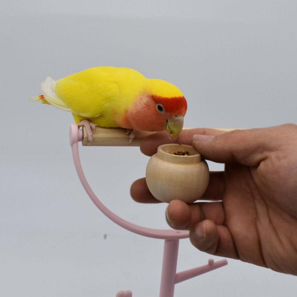 Small Bird Stand Perch Play Gym Cute Parrot Training Playstand Cage Accessories Animals & Pet Supplies > Pet Supplies > Bird Supplies > Bird Cage Accessories unahtinr   