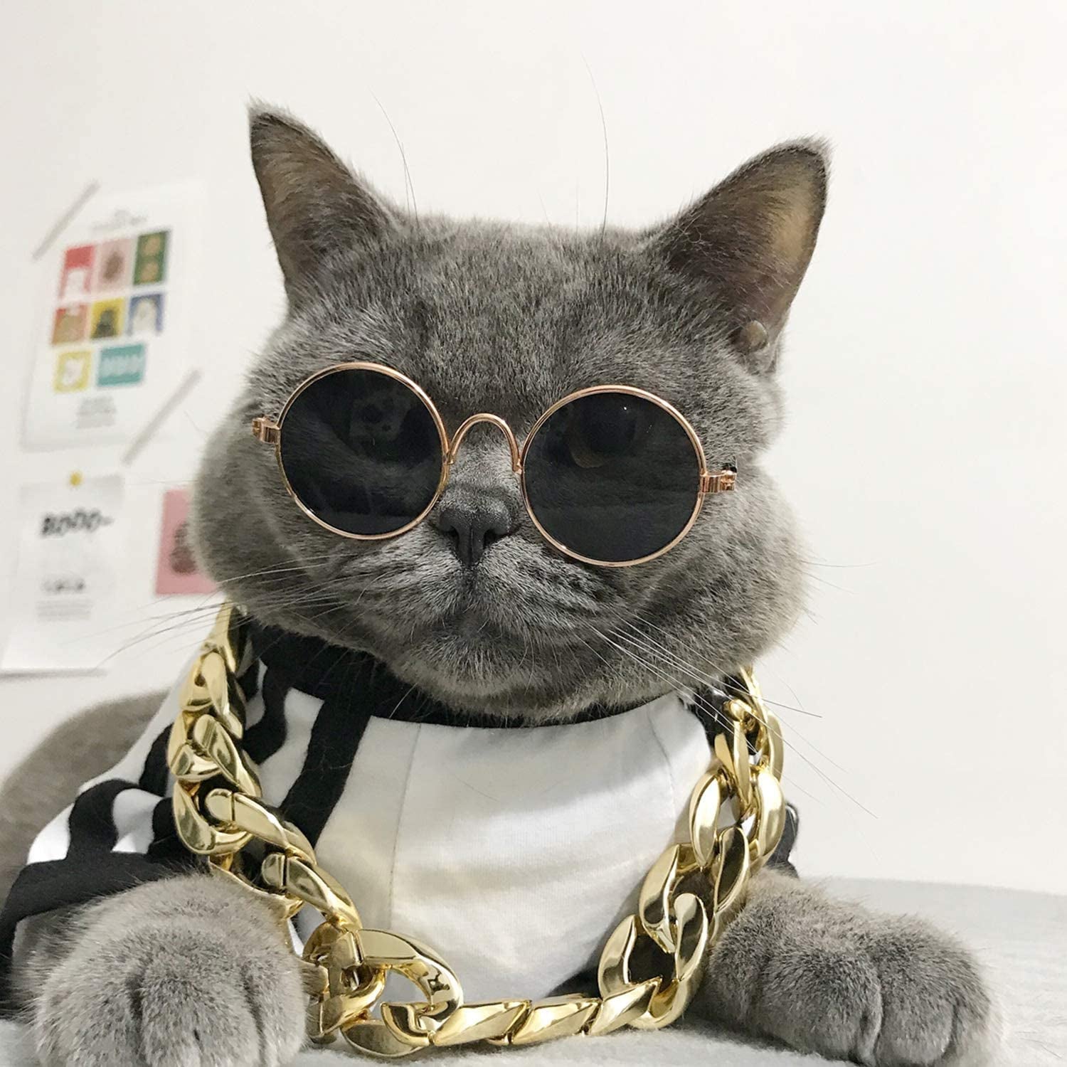 Legendog Glasses for Cats, 2Pcs Cat Glasses Cat Gold Chain and Cat Sunglasses, Fashion Cool Pet Sunglasses Adjustable Pet Gold Chain Set for Cats and Small Dogs Animals & Pet Supplies > Pet Supplies > Dog Supplies > Dog Apparel Legendog   