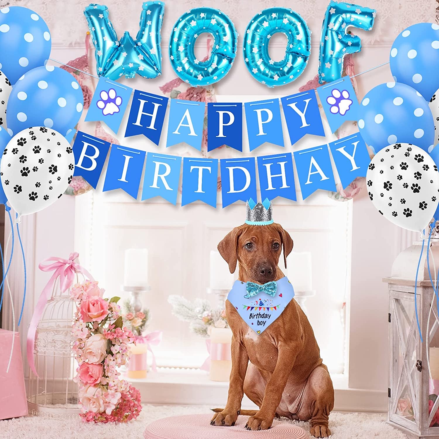 Dog Birthday Party Supplies, Selemoy Dog Birthday Bandana Scarf, Doggie Boy Birthday Party Hat with Number, Bowtie Paw Balloons Banner for Small Medium Puppy Dog Pets, Dog Birthday Party Decorations Animals & Pet Supplies > Pet Supplies > Dog Supplies > Dog Apparel Selemoy   