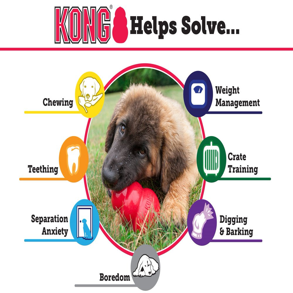 KONG Classic Dog Toy, Medium Animals & Pet Supplies > Pet Supplies > Dog Supplies > Dog Toys Kong   