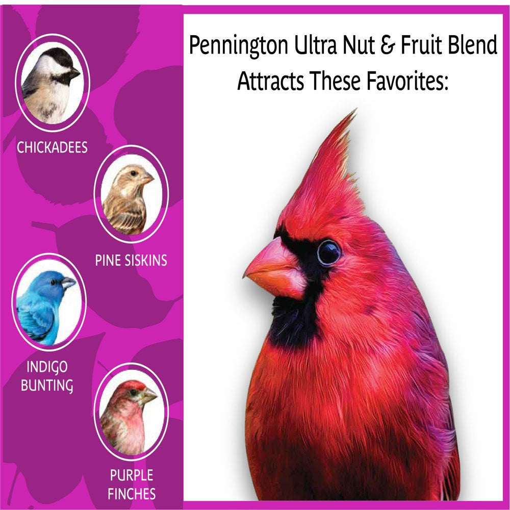 Pennington Ultra Fruit & Nut Blend, Wild Bird Seed and Feed, 12 Lb. Animals & Pet Supplies > Pet Supplies > Bird Supplies > Bird Food CENTRAL GARDEN & PET COMPANY   