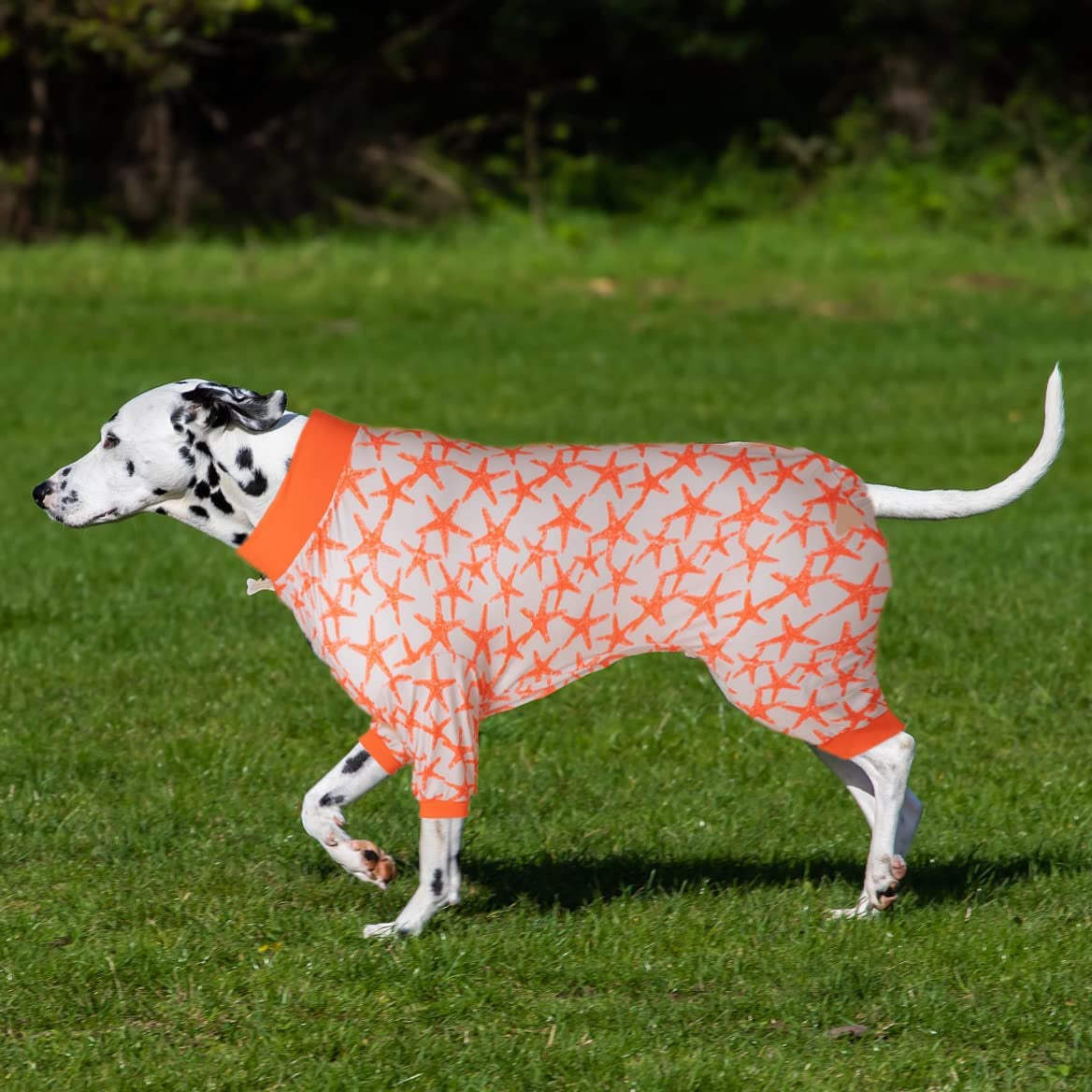 Lovinpet Big Dog Jammies, UV Protection, Pet Anxiety Relief Dog Onesies, Breathable Sea Friends Slub Salmon Prints Large Dog Pjs, Dog Pajamas as Bottom Dog Surgery Recovery Suit for Dog Sweater M Animals & Pet Supplies > Pet Supplies > Dog Supplies > Dog Apparel LovinPet   