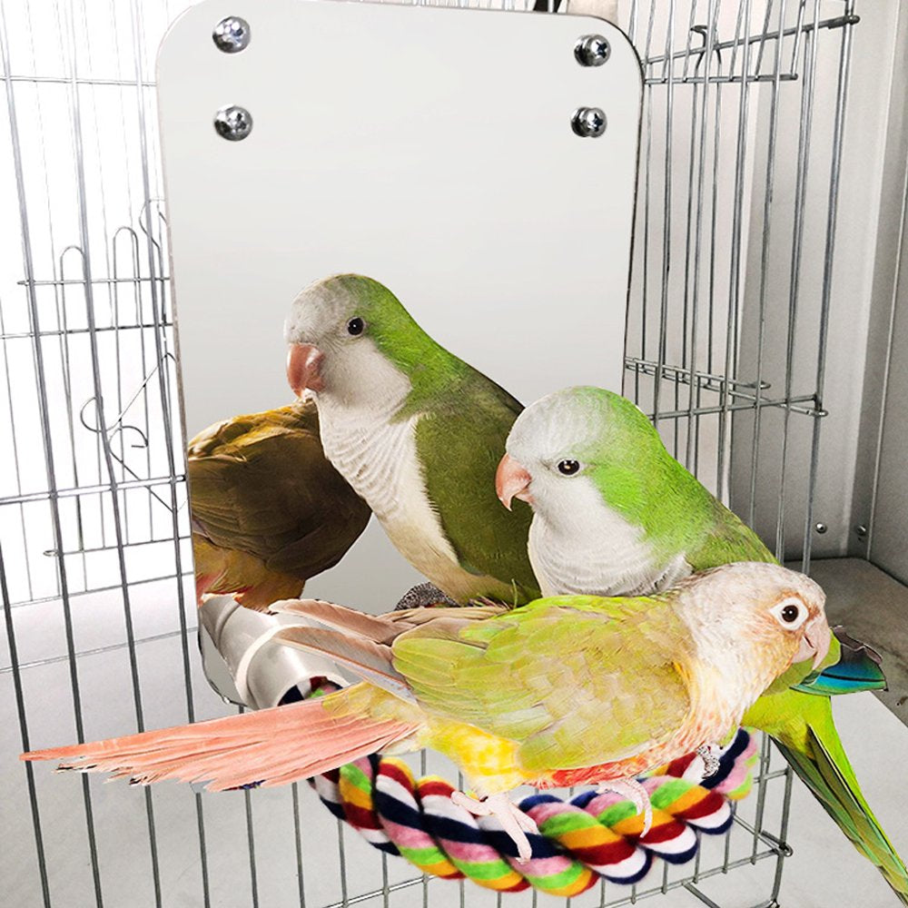 Bird Fun Mirror Toy Small Birds Bite Climbing Rack Cage Hanging Stand Bar Pet Toys Accessories Animals & Pet Supplies > Pet Supplies > Bird Supplies > Bird Cage Accessories Jooan   