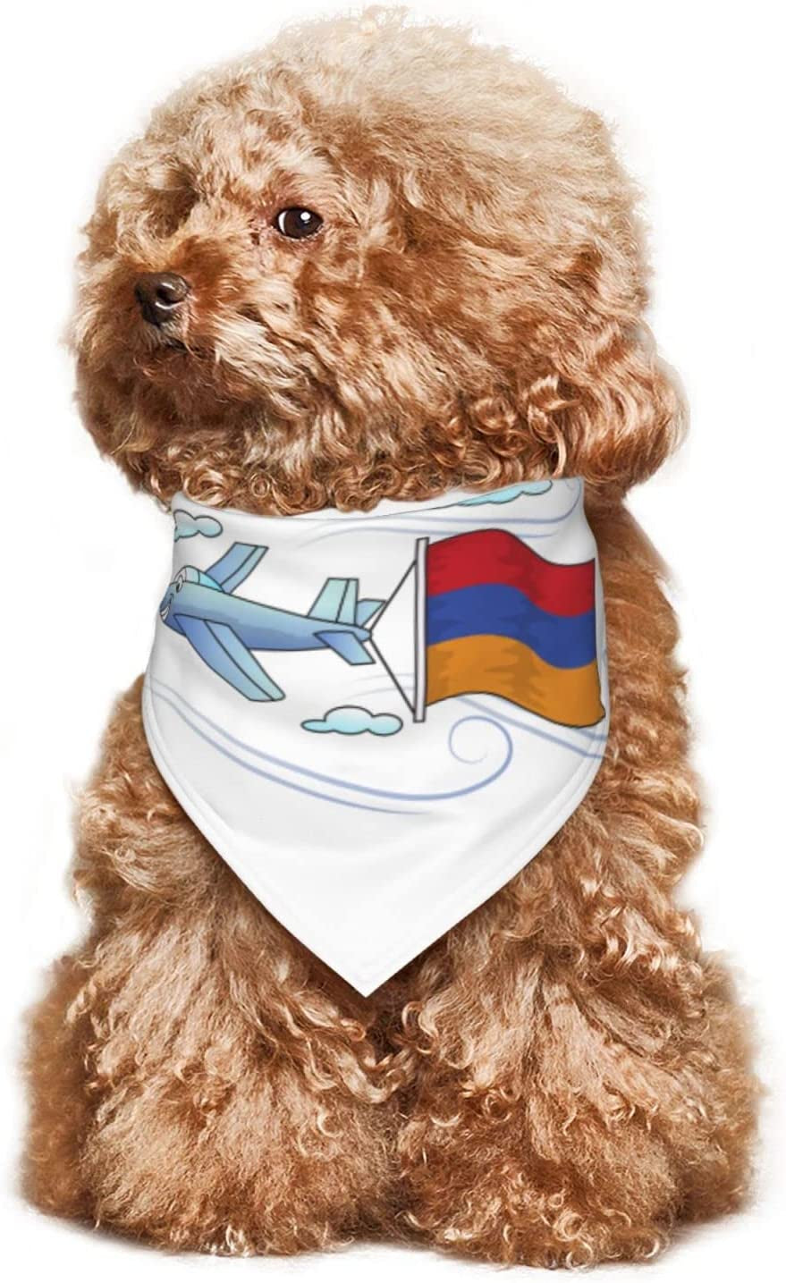 Airplane with Armenian Flag Pet Dog and Cat Decorative Triangle Scarf,Dog Bandana,Breathable and Stain Resistant. Animals & Pet Supplies > Pet Supplies > Dog Supplies > Dog Apparel ZALTAS   