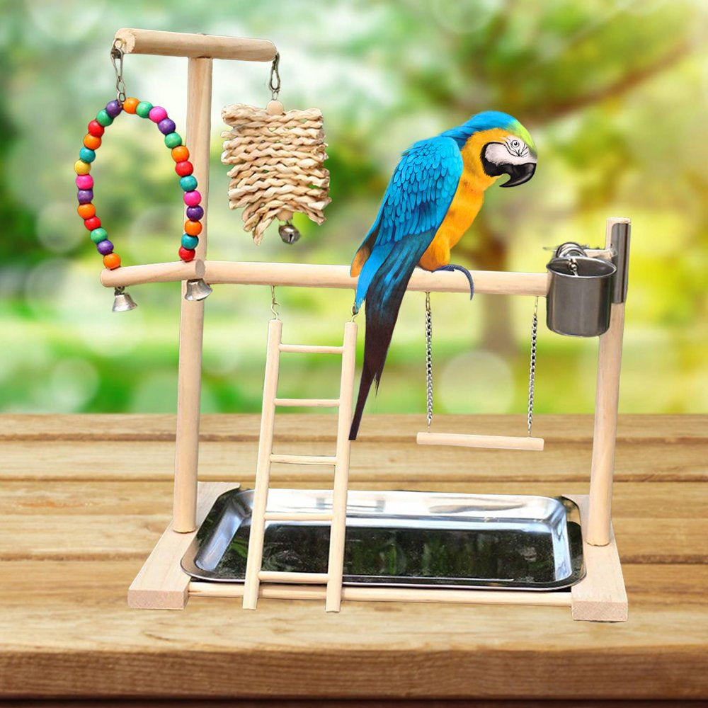 Pet Playstand Bird Playground with Feeder Cups Bells Bird Playpen Solid Wood Perch Bird Gym Climbing Ladder Chewing Parakeet