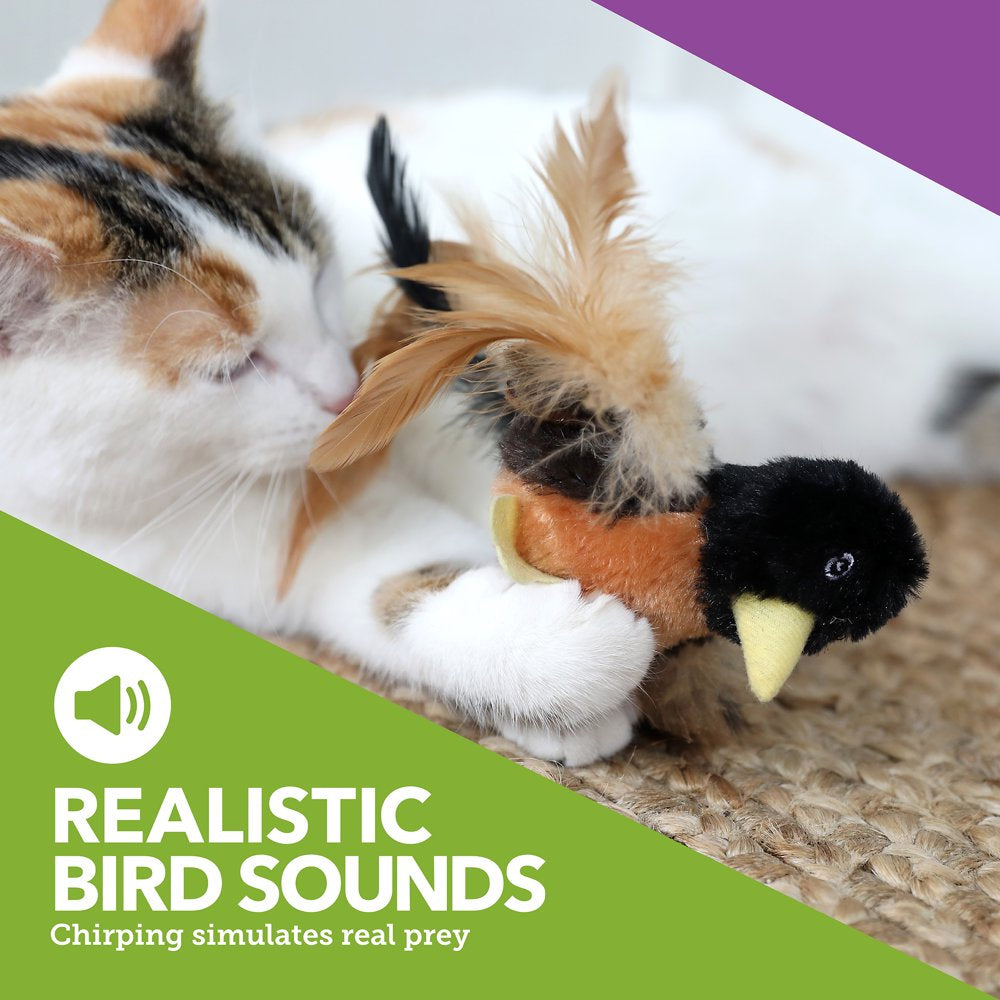 Vibrant Life Rockin' Robin Catnip Filled Plush Bird Cat Toy with Feathers Animals & Pet Supplies > Pet Supplies > Cat Supplies > Cat Toys Vibrant Life   