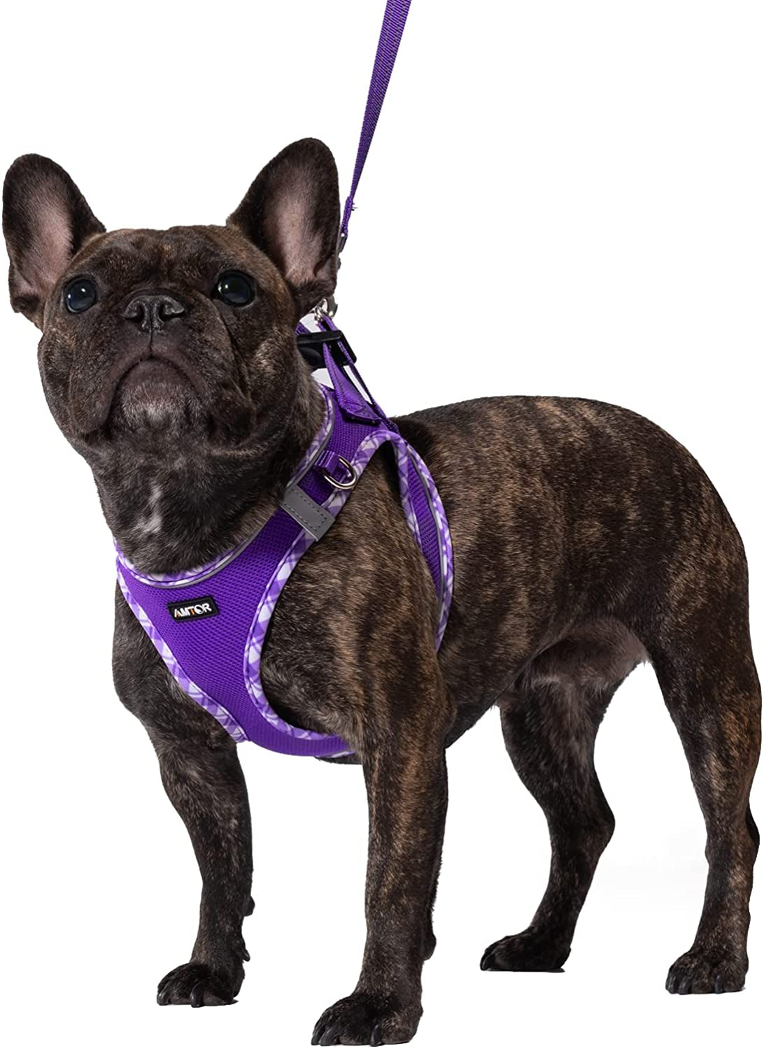 AMTOR Dog Harness with Leash Set,No Pull Adjustable Reflective Step-In Puppy Harness with Padded Vest for Extra-Small/Small Medium Large Dogs and Cats(Beige) Animals & Pet Supplies > Pet Supplies > Dog Supplies > Dog Apparel AMTOR Purple Medium(Chest:16.0"-18.0") 