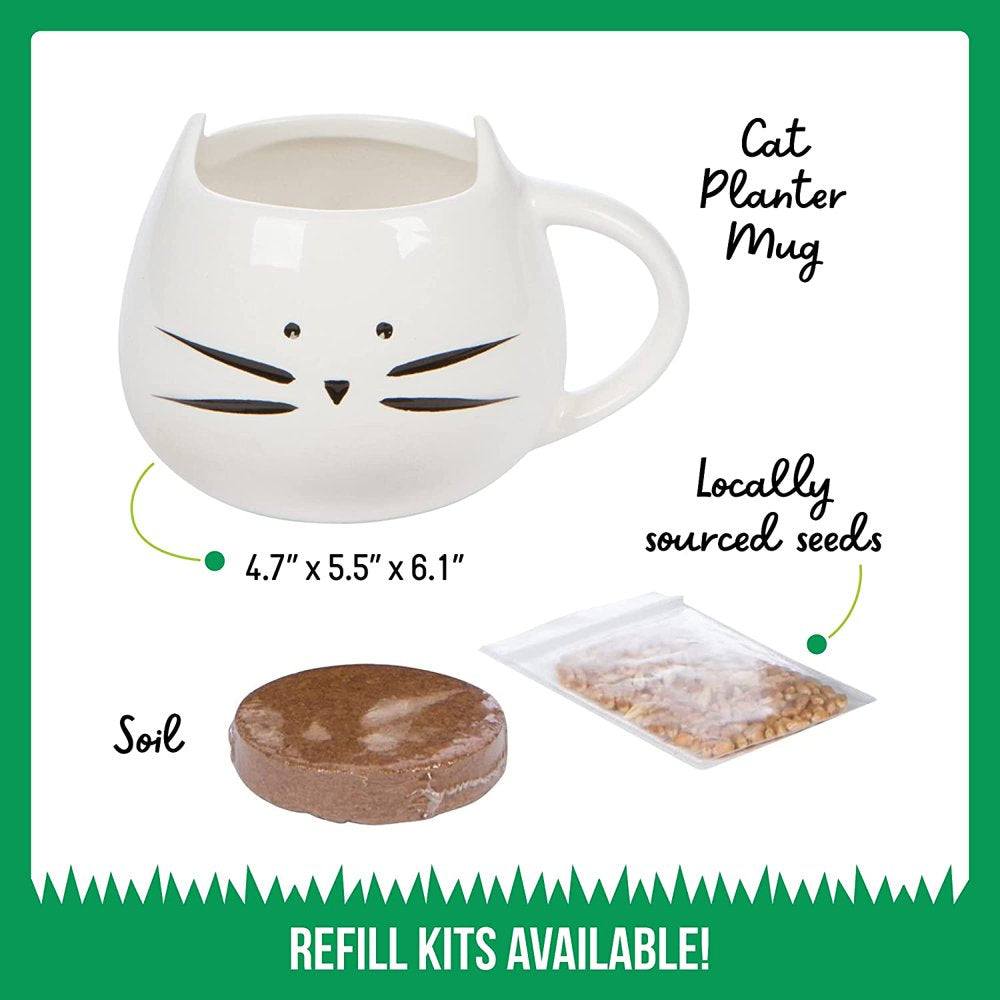 The Cat Ladies Organic Cat Grass Growing Kit with Organic Seed Mix, Organic Soil and Cat Planter, Natural Hairball Control and Remedy Animals & Pet Supplies > Pet Supplies > Cat Supplies > Cat Treats The Cat Ladies   