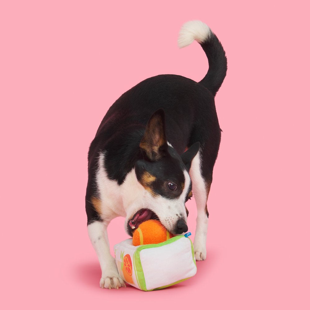 BARK Barkfest in Bed Orange Tennis Ball, Two Toys in One, Dog Toy Animals & Pet Supplies > Pet Supplies > Dog Supplies > Dog Toys BARK   