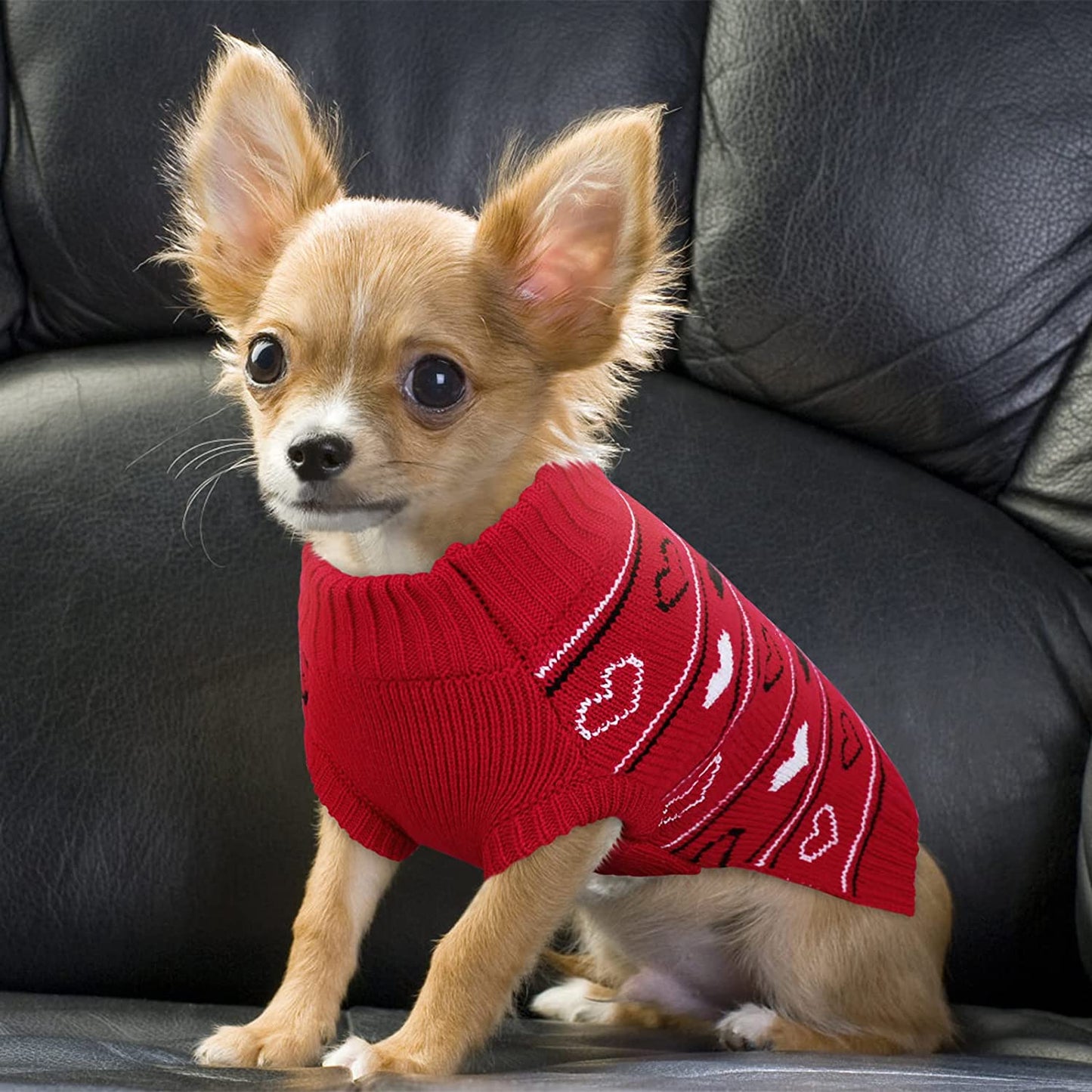 Queenmore Valentine Dog Sweater,Small Dog Sweater for Tiny Dogs,Teacups,Frenchies,Chihuahuas,Yorkies,Turtleneck Girl Dogs Red Knit Sweaters Red,Xs Animals & Pet Supplies > Pet Supplies > Dog Supplies > Dog Apparel Queenmore   