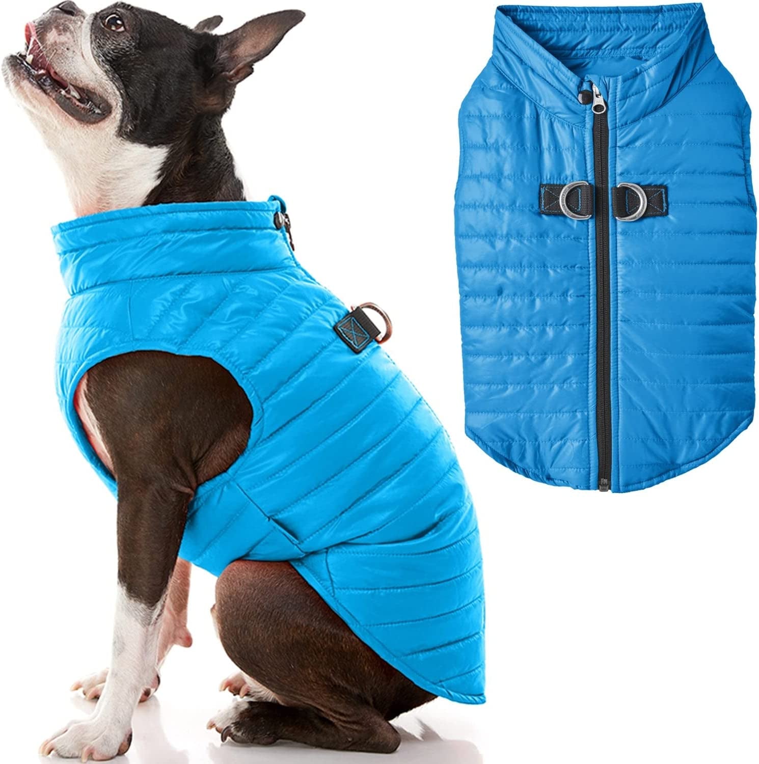 Gooby Puffer Vest Dog Jacket - Purple, Medium - Ultra Thin Zip up Wind Breaker with Dual D Ring Leash - Water Resistant Small Dog Sweater Coat - Dog Clothes for Small Dogs Boy or Medium Dogs Animals & Pet Supplies > Pet Supplies > Dog Supplies > Dog Apparel Gooby Blue Medium chest (18") 