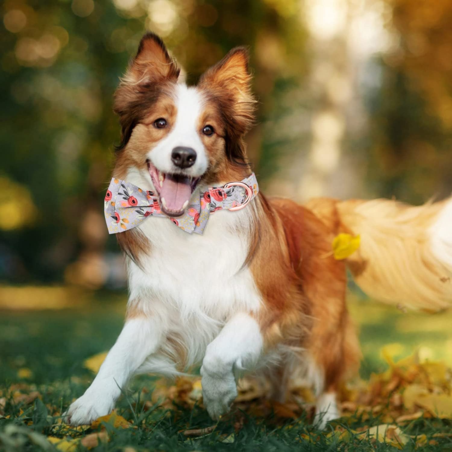 Extra Small Dog Collar with Bow Tie Male Personalized Cotton Girls Dog Collar with Metal Buckle Puppy Collars for 3 Adjustable Sizes Small Medium Large Dog Pet Gift Animals & Pet Supplies > Pet Supplies > Dog Supplies > Dog Apparel HonpraD   