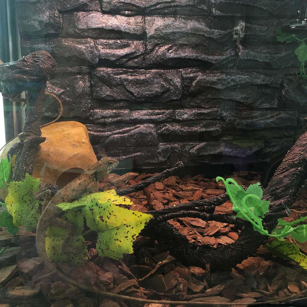 Fovolat Reptile Climbing Vines Plastics Jungle Vines Branches Pet Tank Habitat Terrarium Decor for Geckos Hermit Crabs Snakes and More Reptile Perched Competent Animals & Pet Supplies > Pet Supplies > Small Animal Supplies > Small Animal Habitat Accessories Fovolat   