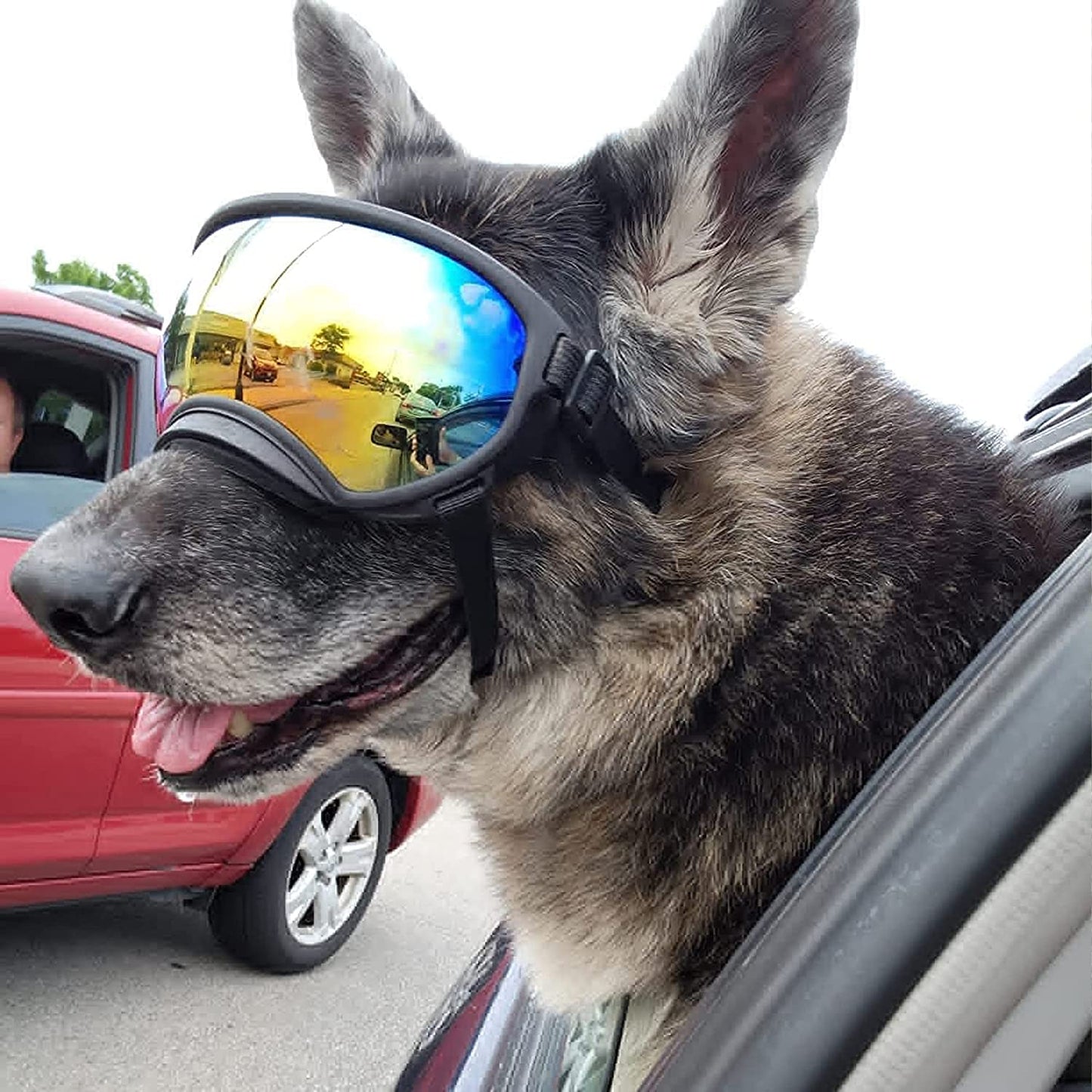 Large Dog Sunglasses, Dog Goggles with Adjustable Strap UV Protection Winproof Dog Puppy Sunglasses, Suitable for Medium-Large Dog Pet Glasses, Dogs Eyes Protection Animals & Pet Supplies > Pet Supplies > Dog Supplies > Dog Apparel NICERINC PET   