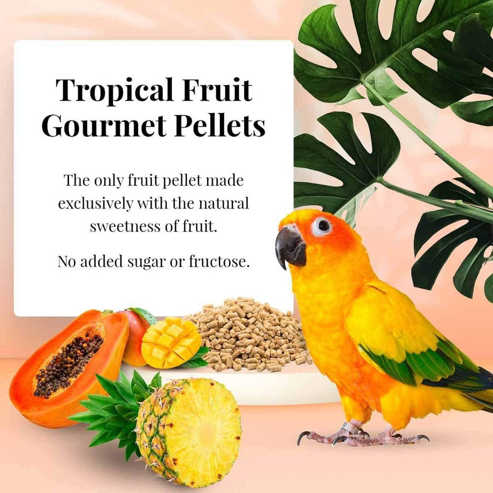 Lafeber 041054726478 4 Lbs Tropical Fruit Gourmet Pellets Bird Food for Conure Animals & Pet Supplies > Pet Supplies > Bird Supplies > Bird Food Lafeber   