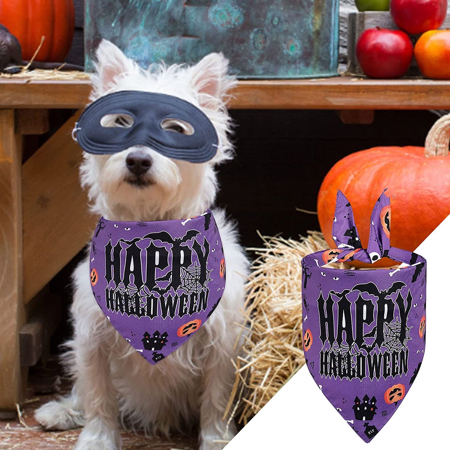 Dog Birthday Boy Bandana Pet Happy Birthday Party Triangle Dog Scarf Pet Halloween Pet Halloween Party Decoration Headscarf Dog Bib Pumpkin Bat Puppy Pet Dog Scarf Bandana for Dogs Cats (A, One Size) Animals & Pet Supplies > Pet Supplies > Dog Supplies > Dog Apparel Generic   