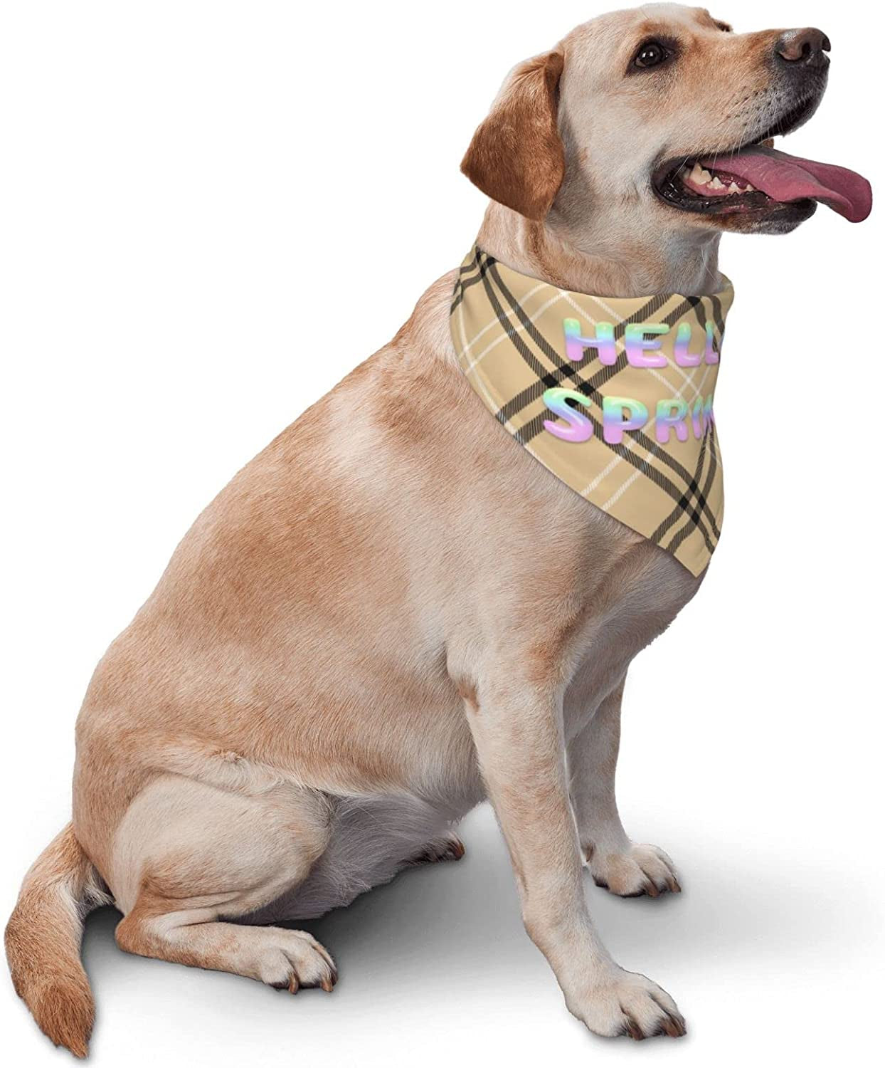 Round Hello Spring Font Gradient Pet Dog and Cat Decorative Triangle Scarf,Dog Bandana,Breathable and Stain Resistant. Animals & Pet Supplies > Pet Supplies > Dog Supplies > Dog Apparel ZALTAS   