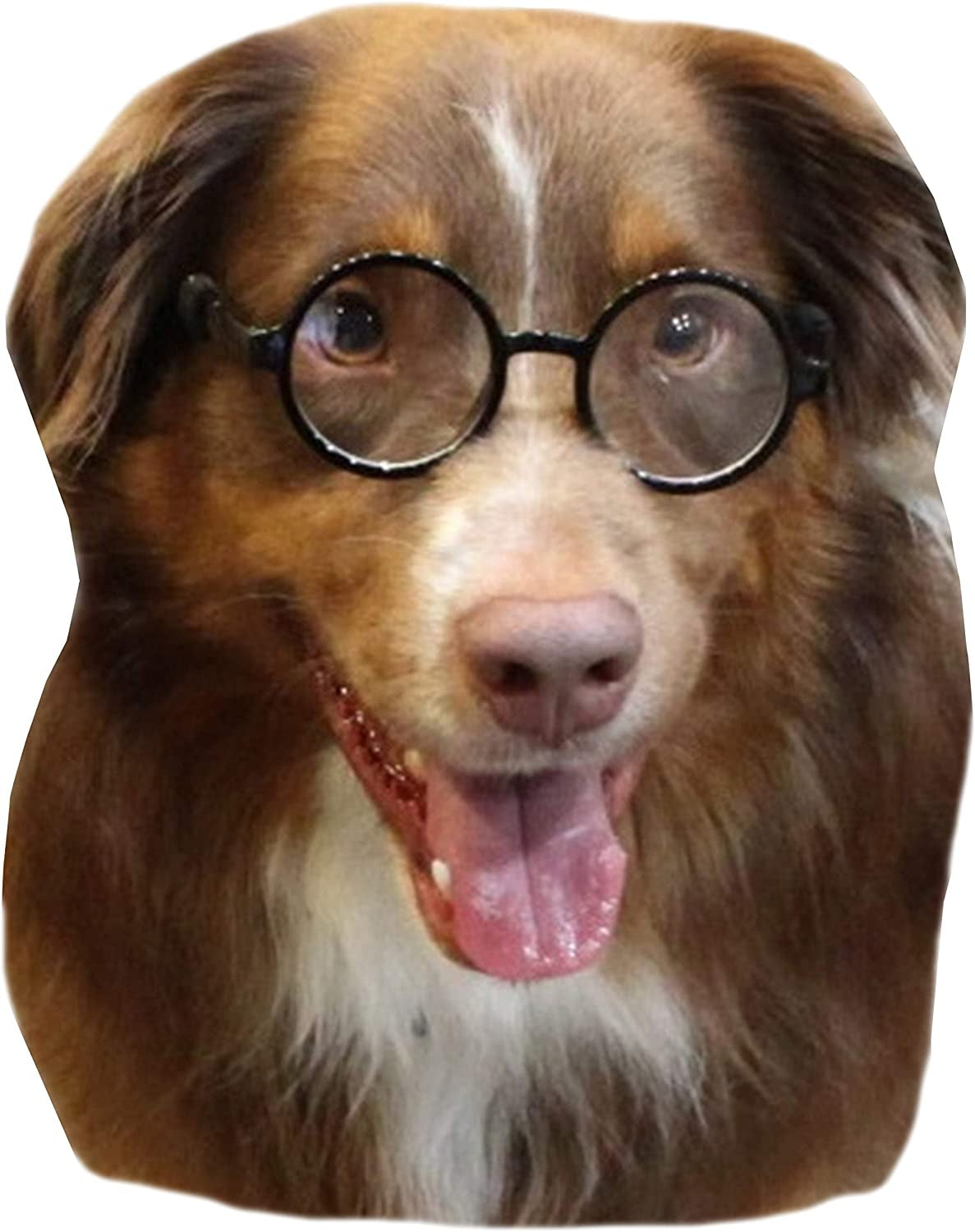 G003 Dog Pet round Costume Prop Glasses Sunglasses Medium Breeds 18-40Lbs (Round Black-Clear Lens) Animals & Pet Supplies > Pet Supplies > Dog Supplies > Dog Apparel Style Vault   