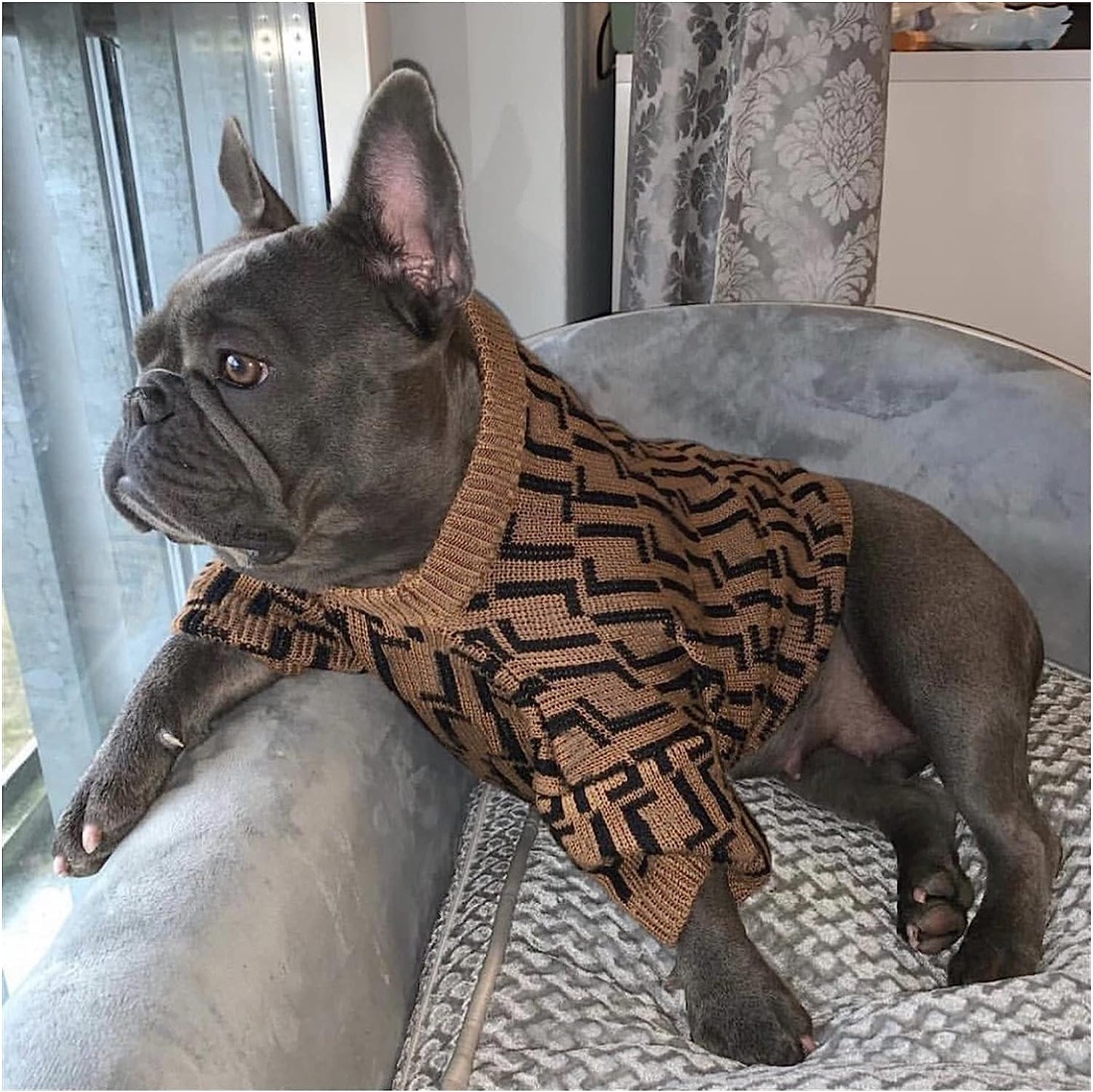 Keffiyeh Dog Clothes Pet Puppy Sweater Jacket Coat (Color : Brown, Size : X-Small) Animals & Pet Supplies > Pet Supplies > Dog Supplies > Dog Apparel keffiyeh   