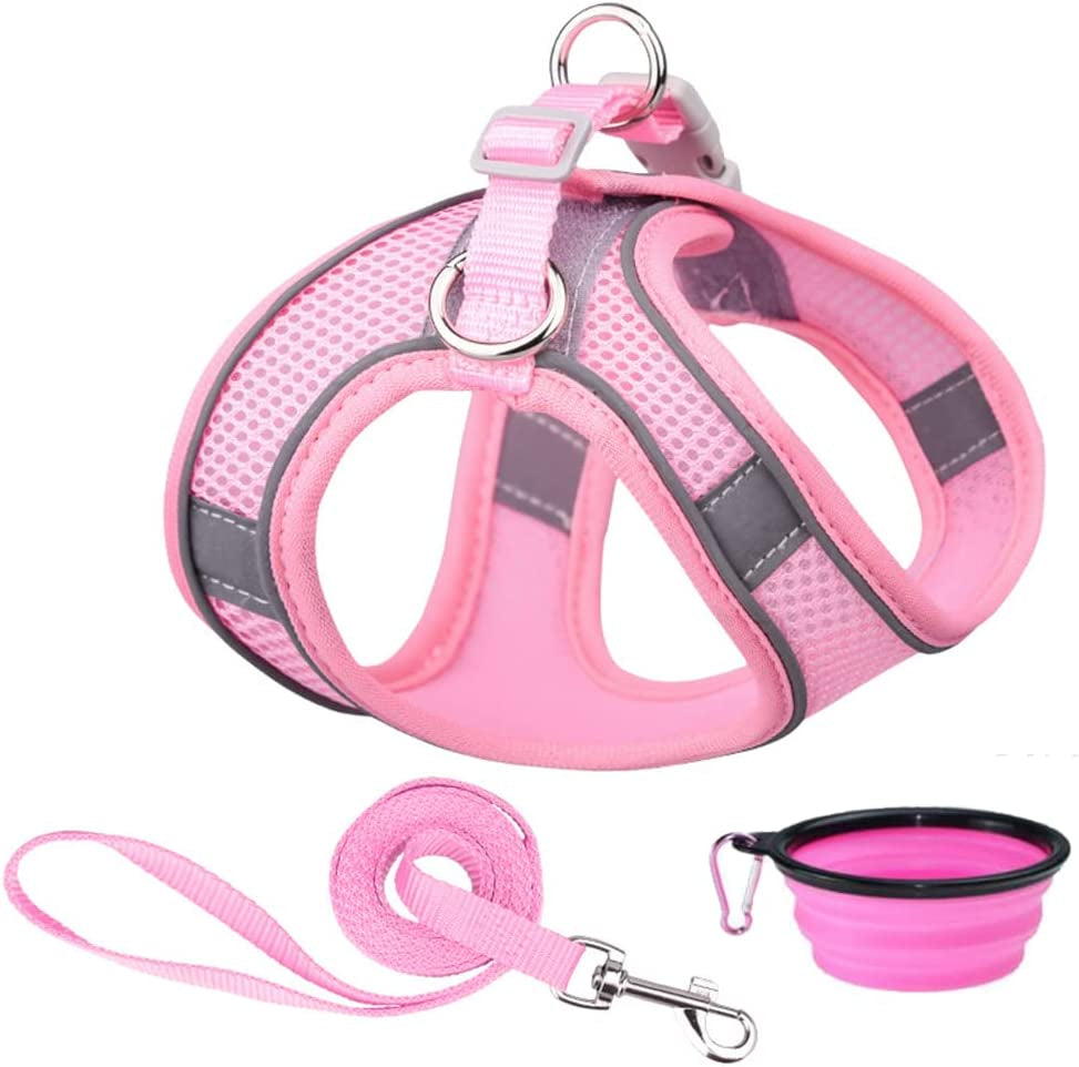 Dog Harness and Leash Set Reflective Pet Puppy Vest Harnesses Adjustable Step in Soft Mesh for Medium Girl Boy Cats Kitten Orange Animals & Pet Supplies > Pet Supplies > Dog Supplies > Dog Apparel Weimostar Pink XS 