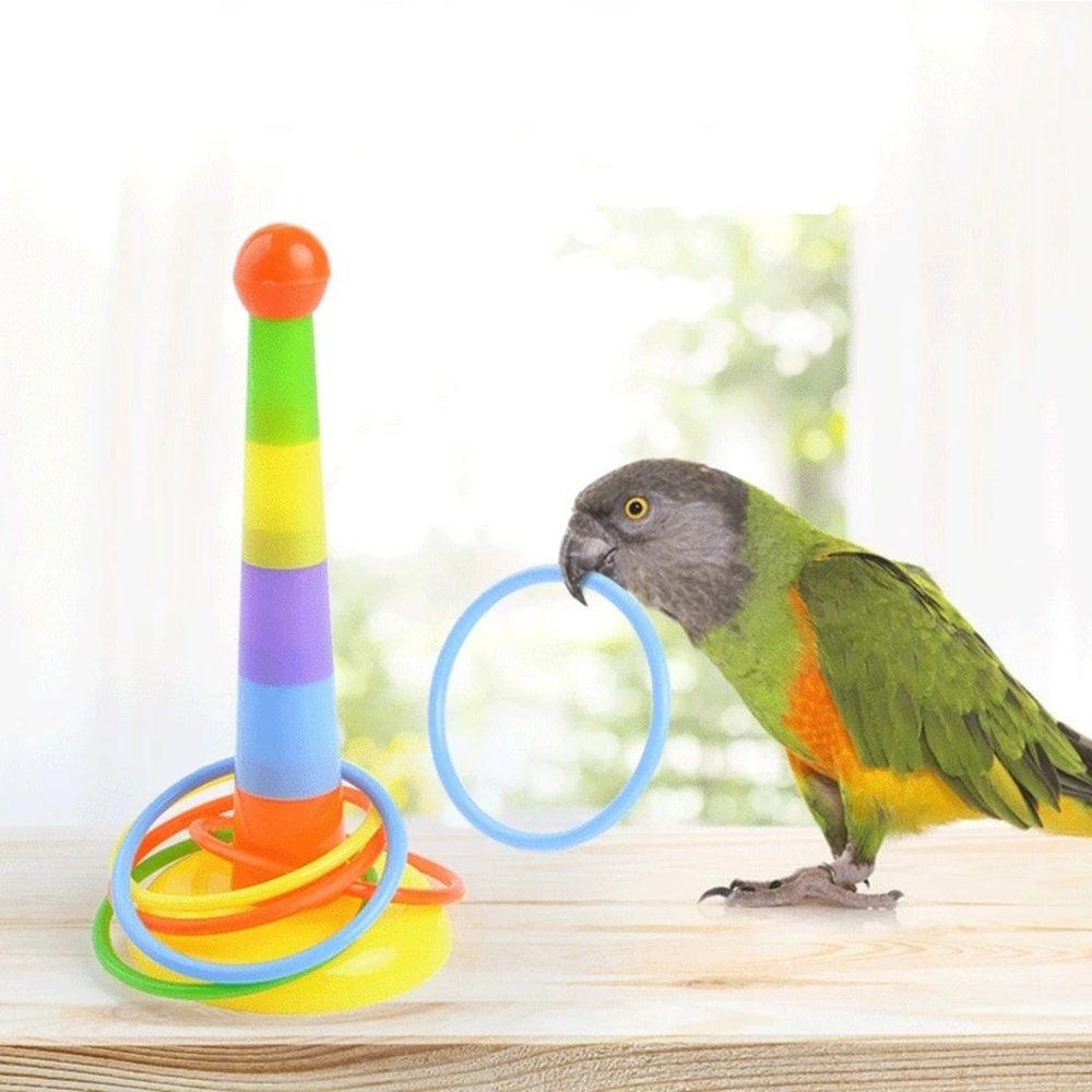 Bojue Creative Bird Toy Set Plastic Conure Funny Daily Play Interactive Durable Pet Toy Accessories Animals & Pet Supplies > Pet Supplies > Bird Supplies > Bird Toys Bojue   