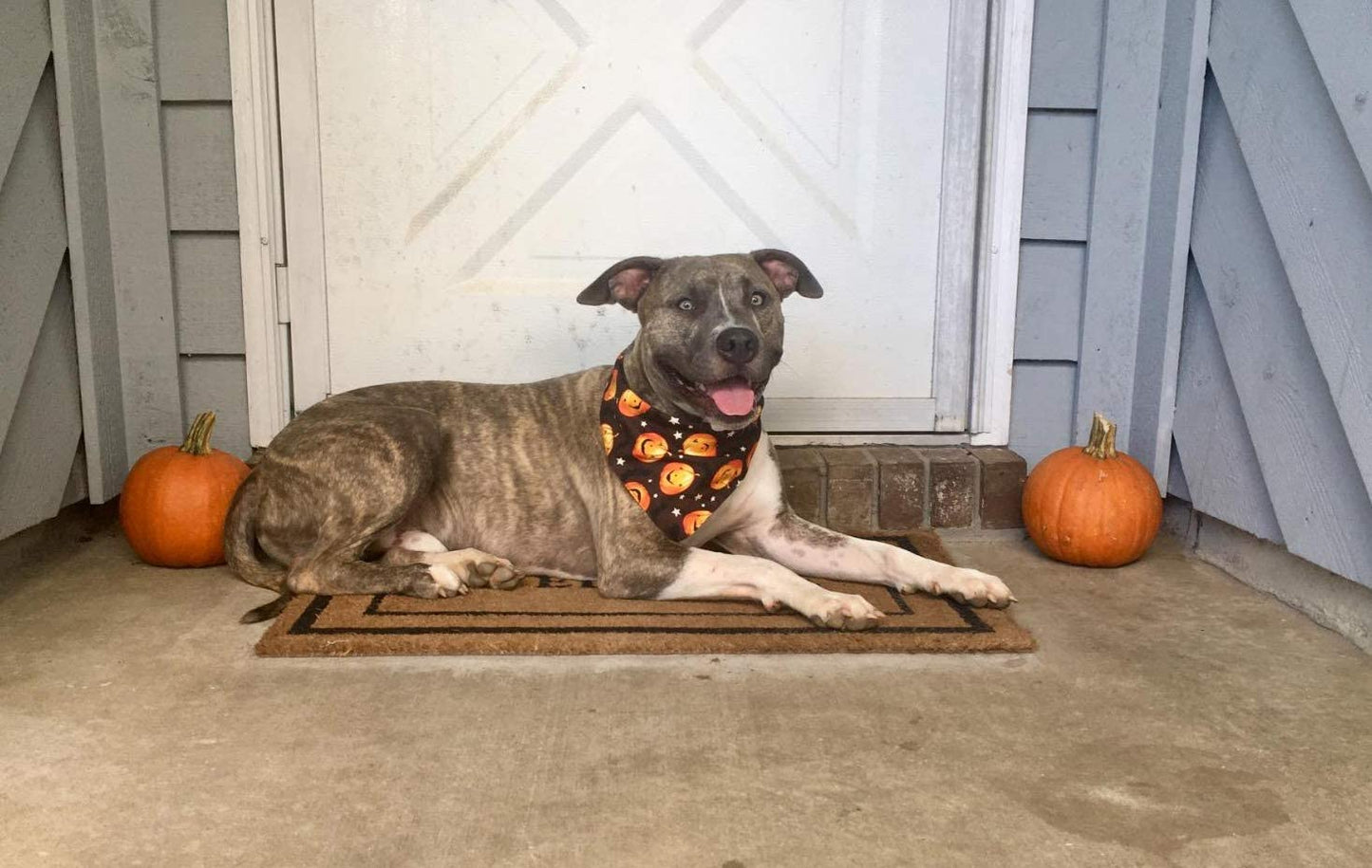 KZHAREEN Halloween Dog Bandana Triangle Bibs Scarf Accessories- Pumpkin Pattern Animals & Pet Supplies > Pet Supplies > Dog Supplies > Dog Apparel KZHAREEN   