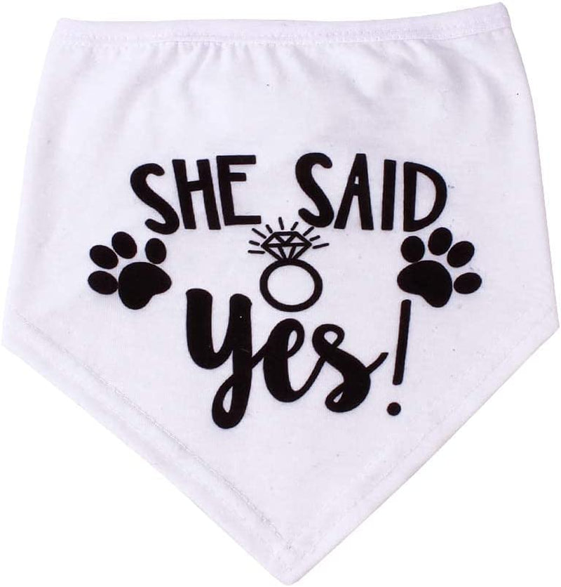 HDGDT She Said Yes Dog Bandana, Wedding Dog Bandana, Dog Engagement Announcement, Wedding Photo Prop, Pet Scarf, Petphoto Prop, Pet Scarf, Pet Accessories Animals & Pet Supplies > Pet Supplies > Dog Supplies > Dog Apparel MY   