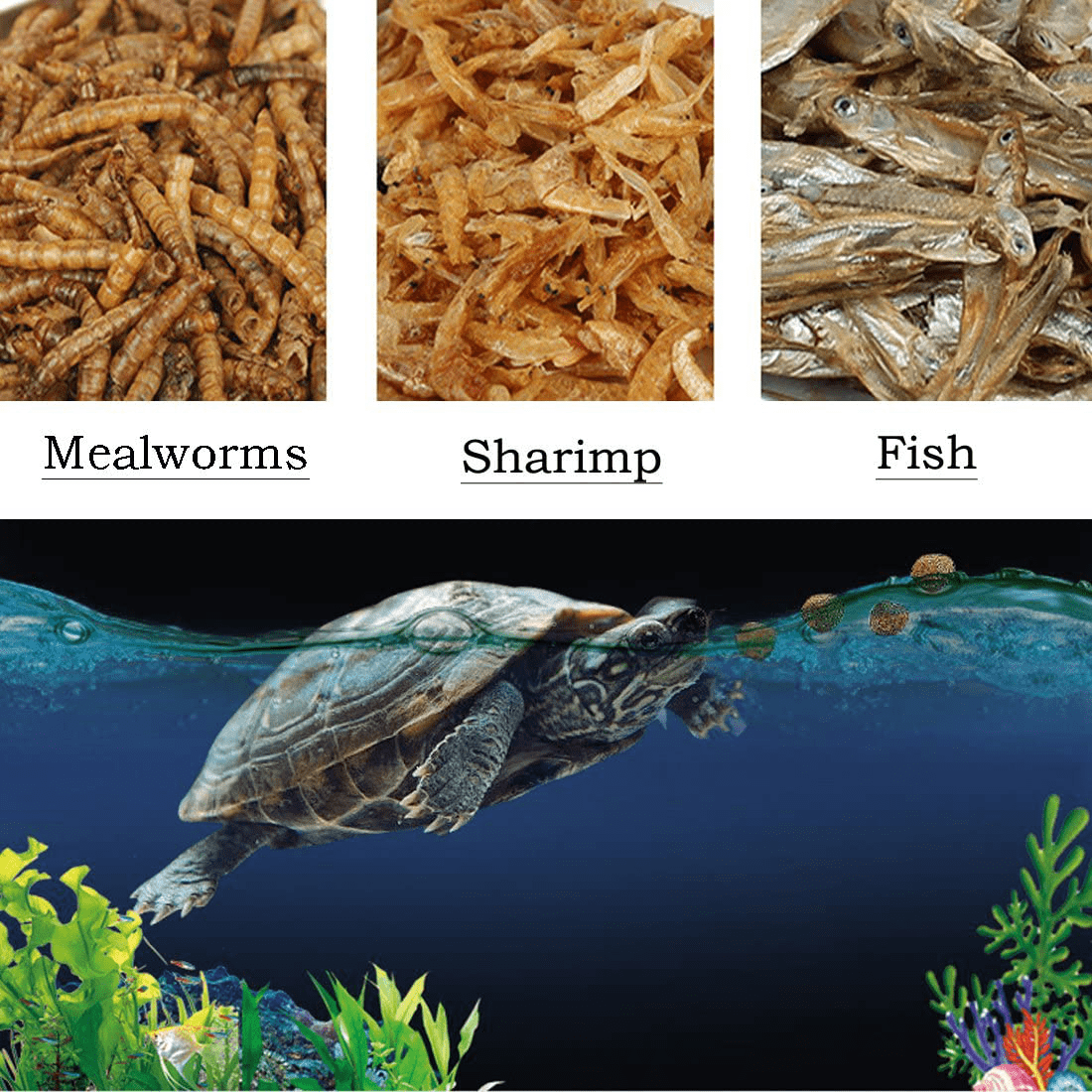 750Ml Aquatic Turtle Food High Protein Dried Mealworms Bulk Freeze Shrimp Fish Food Treats for Reptile Snacks Animals & Pet Supplies > Pet Supplies > Reptile & Amphibian Supplies > Reptile & Amphibian Food JackSuper   