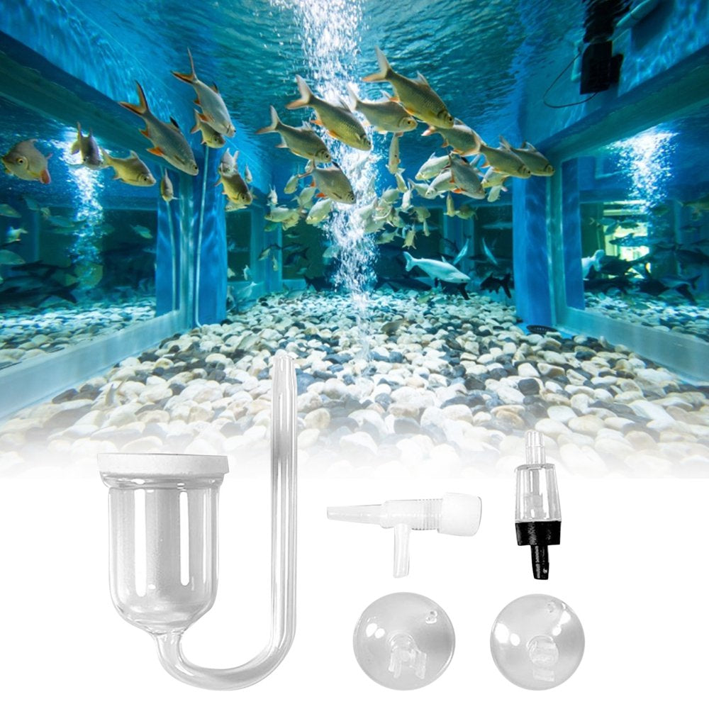 Ankishi Glass Oxygen Refiner Air Stone Fish Tank Bubble Diffuser Animals & Pet Supplies > Pet Supplies > Fish Supplies > Aquarium Air Stones & Diffusers Ankishi   