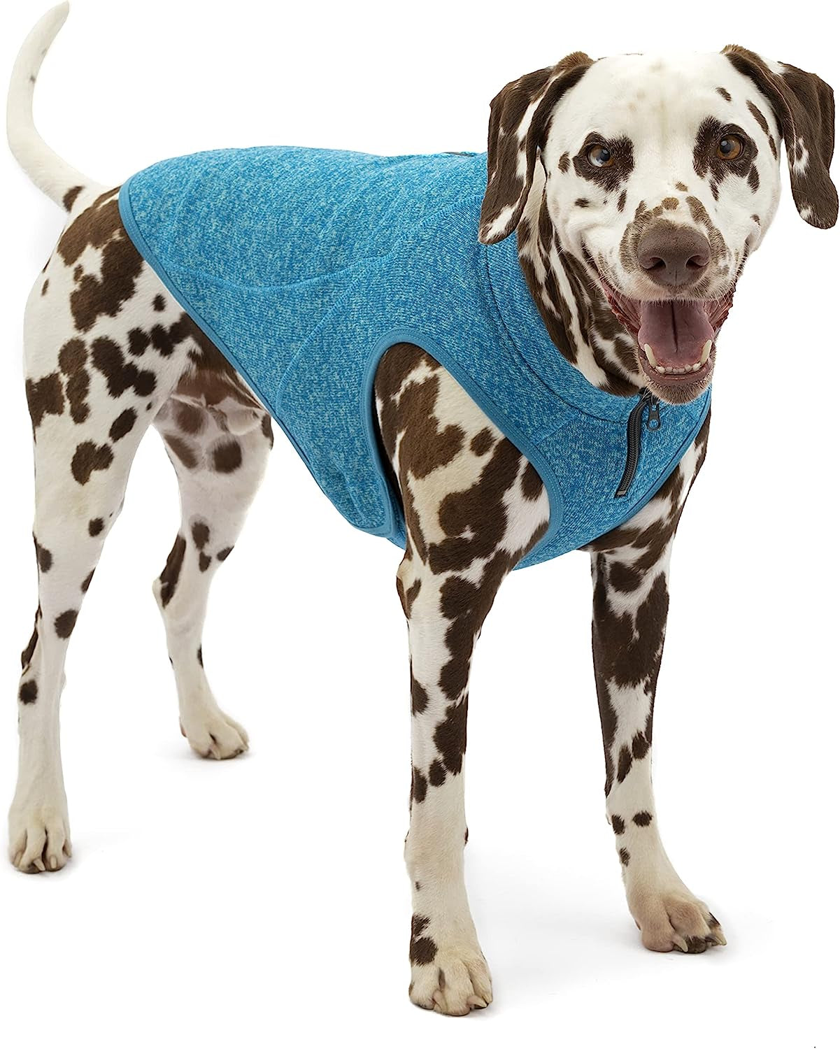 Kurgo K9 Core Dog Sweater | Year-Round Sweater for Dogs | Dog Fleece Vest | Knit Fleece Pet Jacket | Fleece Lining | Lightweight | Zipper Opening for Harness | Adjustable Neck | Black | Medium Animals & Pet Supplies > Pet Supplies > Dog Supplies > Dog Apparel Radio Systems Corporation Heather Blue Extra Large 