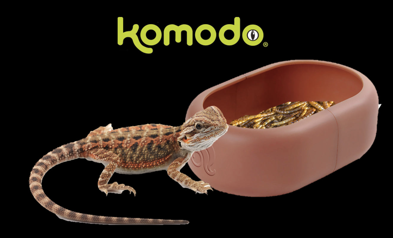 Komodo Smart Mealworm Reptile Feeding Dish for Aquarium or Reptile Tank, Brown, Thermoplastic Animals & Pet Supplies > Pet Supplies > Fish Supplies > Aquarium Decor Multipet International, Inc.   