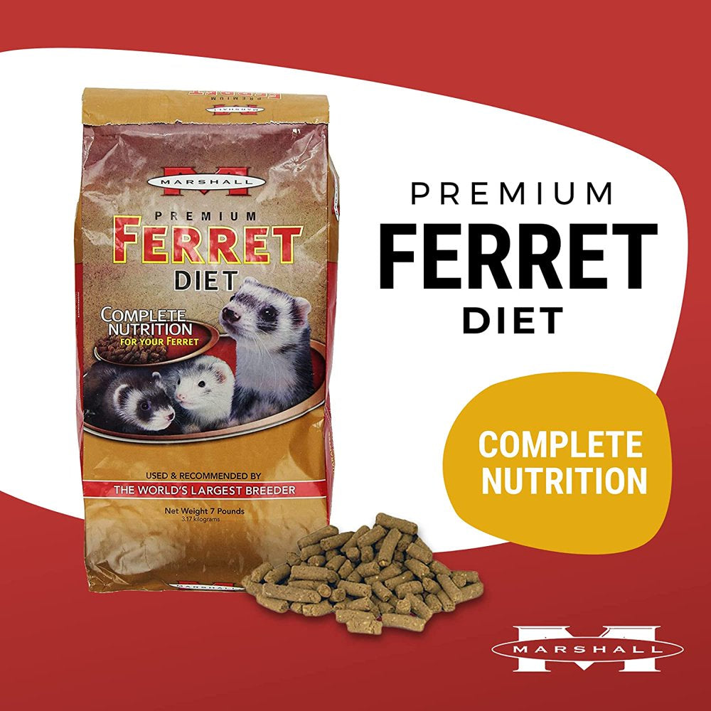 Marshall Pet Products Natural Complete Nutrition Premium Ferret Diet Food with Real Chicken Protein, Highly Digestible, 4 Lbs Animals & Pet Supplies > Pet Supplies > Small Animal Supplies > Small Animal Food Marshall Pet Products   