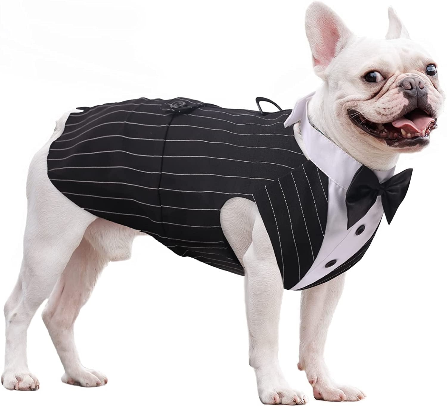 Dog Tuxedo Wedding Party Suit, Formal Tuxedo for Medium Large Dogs, Dog Prince Shirt and Bandana Set with Bow Tie, Weeding Attire Dress-Up Costumes Holiday Wear, Elegant Dog Cosplay Apparel Animals & Pet Supplies > Pet Supplies > Dog Supplies > Dog Apparel ZARYIEEO Black Striped M(Chest:16.5"-20.9",Back:13.8") 