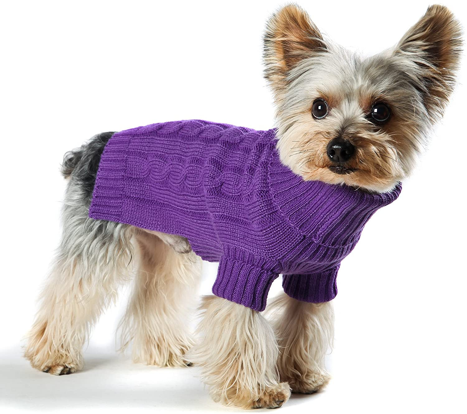 Stinky G Dog Sweater Turtleneck Purple Size #08 Animals & Pet Supplies > Pet Supplies > Dog Supplies > Dog Apparel Stinky G Purple #10 