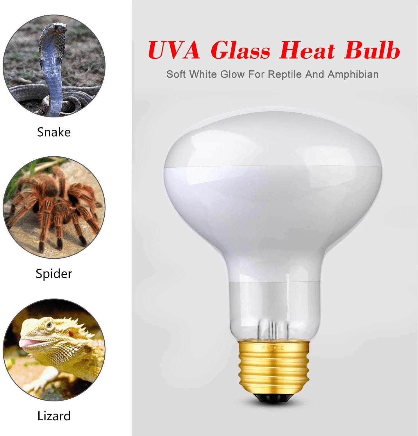 75W Basking Spot Daylight Lamp UVA Reptile Heat Bulb Soft White Sun Lamp for Reptile & Amphibian - 2 Pack