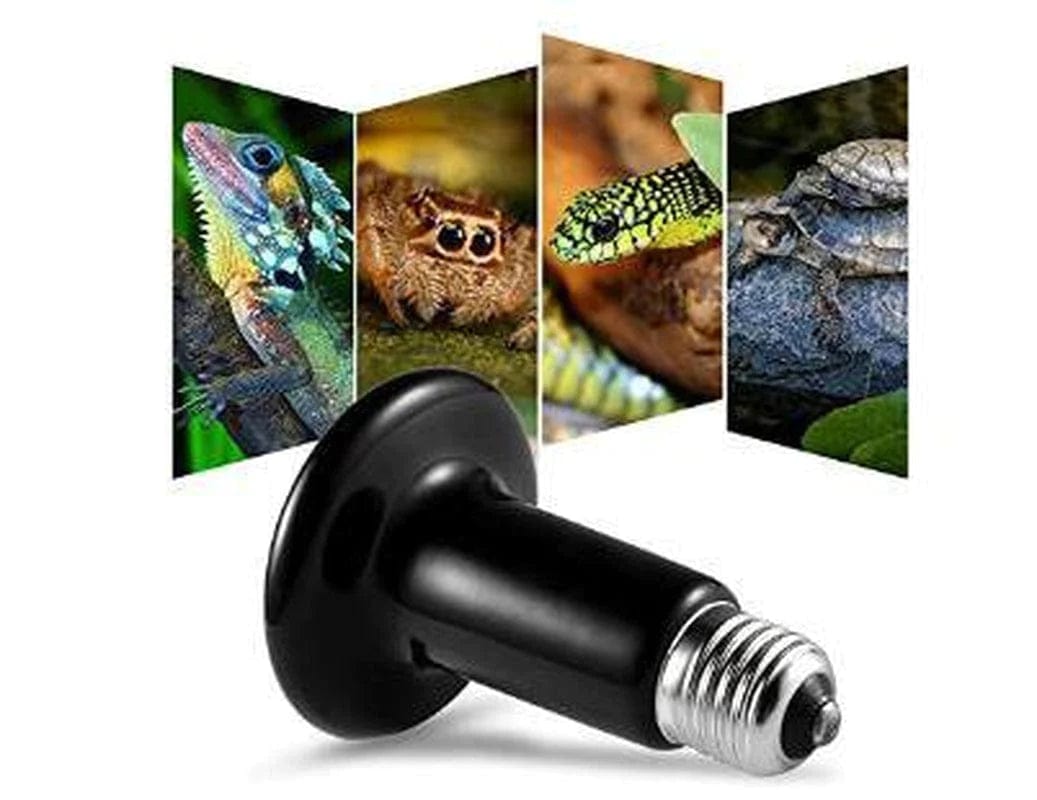 75W Infrared Ceramic Heat Lamp Bulb| Heat and Light for Reptiles and Amphibian Tanks, Terrariums and Cages | for Turtle Aquarium Aquatic Reptile Lizard Habitat Heat Lighting Animals & Pet Supplies > Pet Supplies > Reptile & Amphibian Supplies > Reptile & Amphibian Habitat Heating & Lighting shanxilangushangmaoyouxiangongsi   