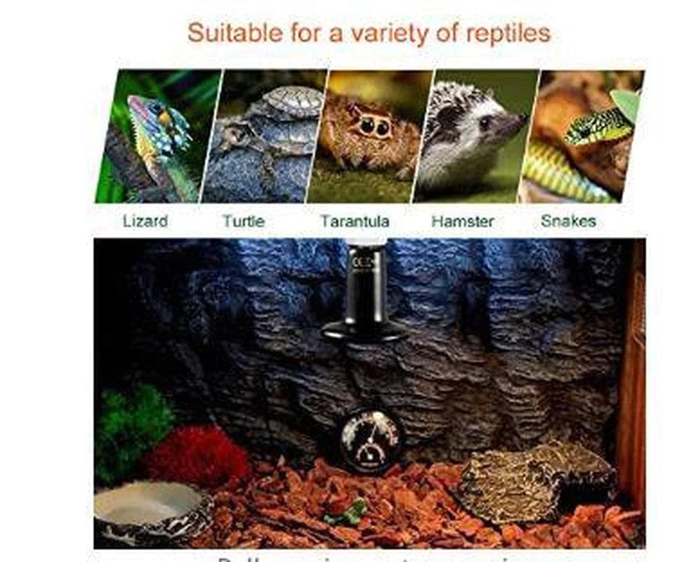 75W Infrared Ceramic Heat Lamp Bulb| Heat and Light for Reptiles and Amphibian Tanks, Terrariums and Cages | for Turtle Aquarium Aquatic Reptile Lizard Habitat Heat Lighting Animals & Pet Supplies > Pet Supplies > Reptile & Amphibian Supplies > Reptile & Amphibian Habitat Heating & Lighting shanxilangushangmaoyouxiangongsi   