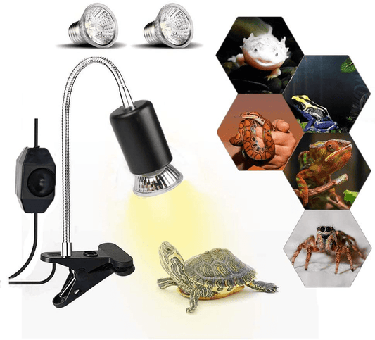 75W Reptile Heat Lamp, Turtle Heating Light UVA UVB Temperature Adjustable 360°Rotatable Clip Basking Lamp for Amphibian Reptile Turtle Lizard Snake (Heat Light with 2Pcs 75W Bulb) Animals & Pet Supplies > Pet Supplies > Reptile & Amphibian Supplies > Reptile & Amphibian Habitat Heating & Lighting JackSuper Heat light with 2pcs 75W Bulb  